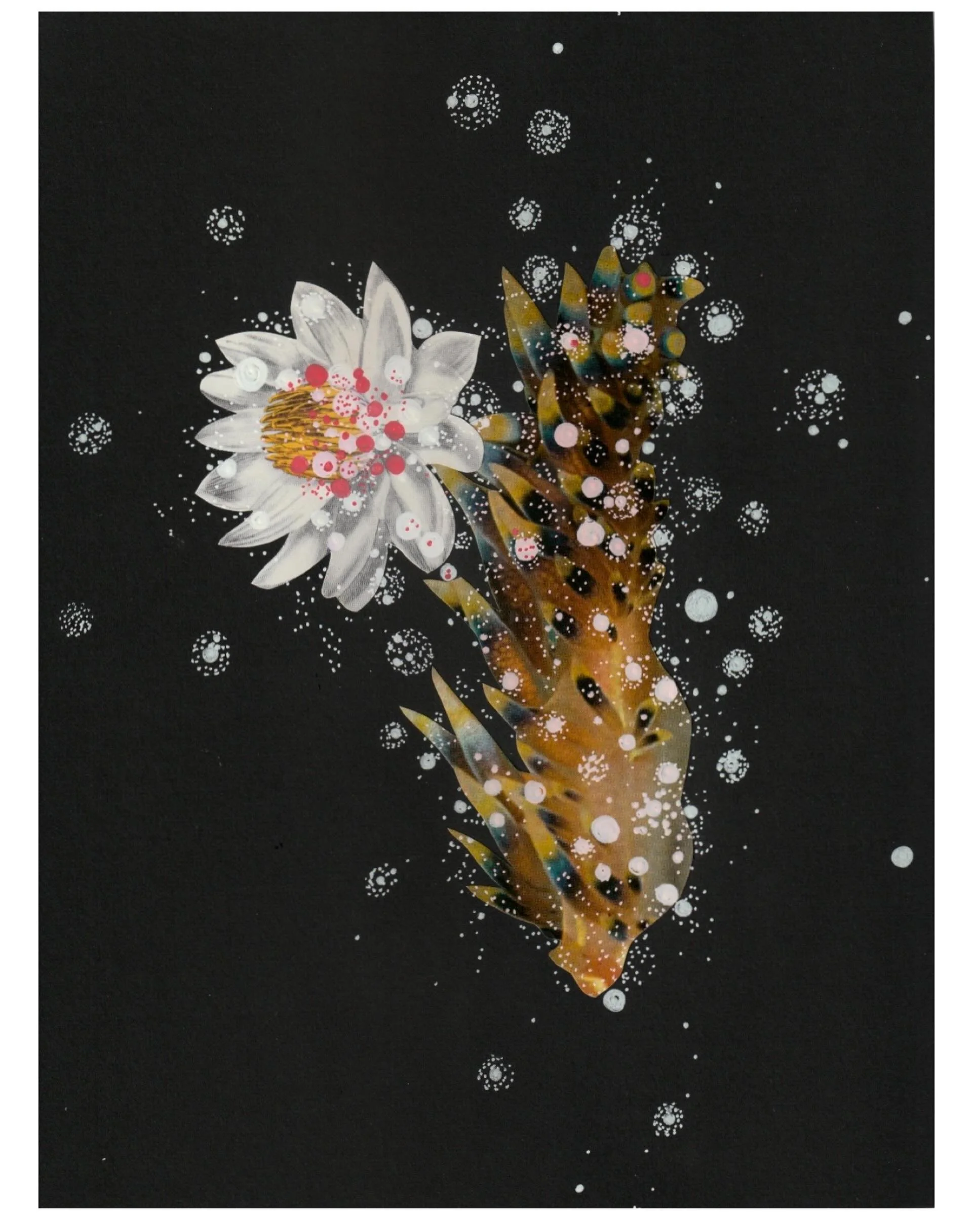 from my collage works collection
&ldquo;nebula coral&rdquo; (2019)
mixed media on paper, 8&rdquo; x 10&rdquo;
dm for price &amp; purchase info
#jennybrownart