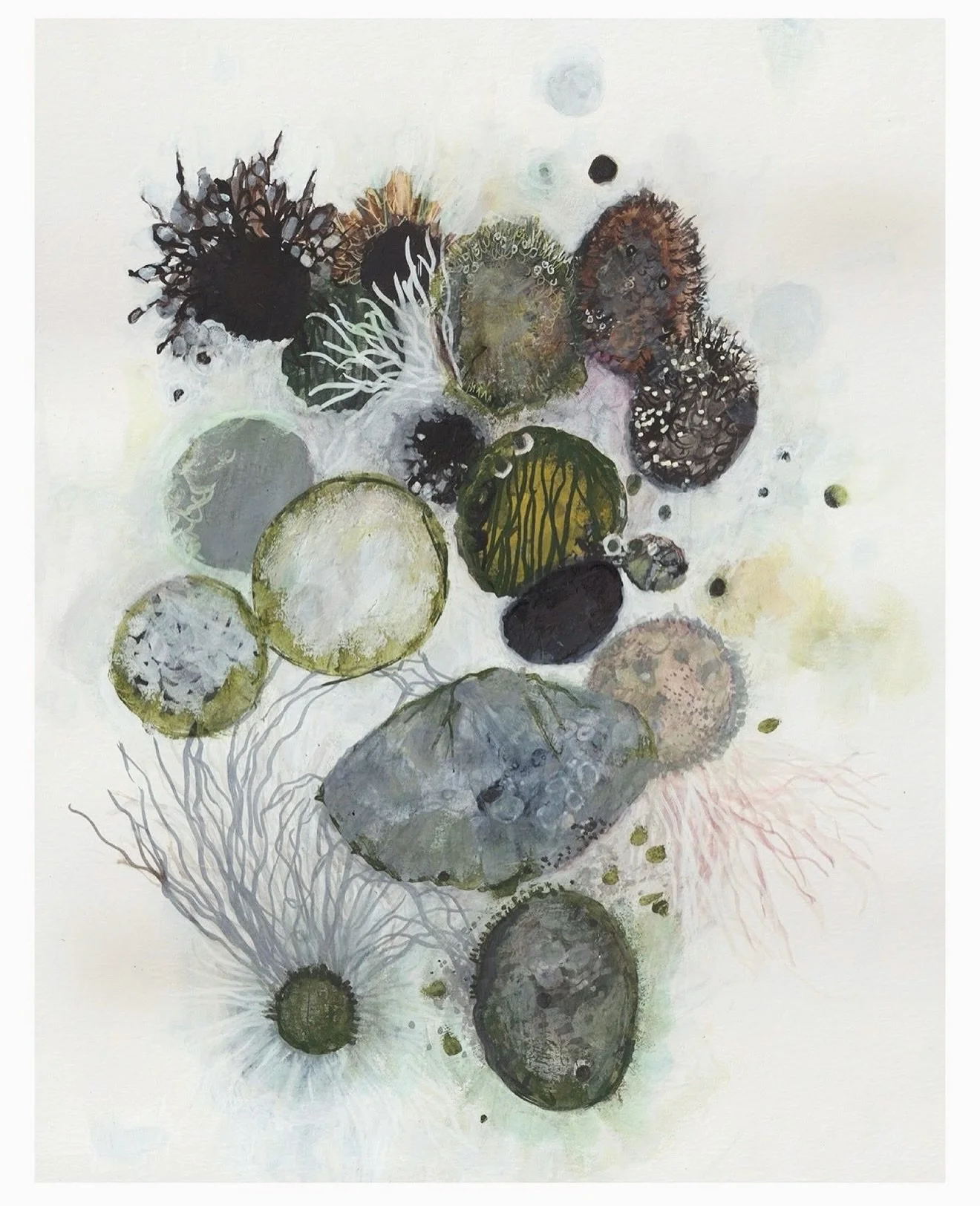 from my works on paper collection
&ldquo;sea stones&rdquo;
watercolor, acrylic, &amp; ink on paper
11&rdquo; x 14&rdquo;
.
#jennybrownart #worksonpaper #paintingonpaper #thejealouscurator
