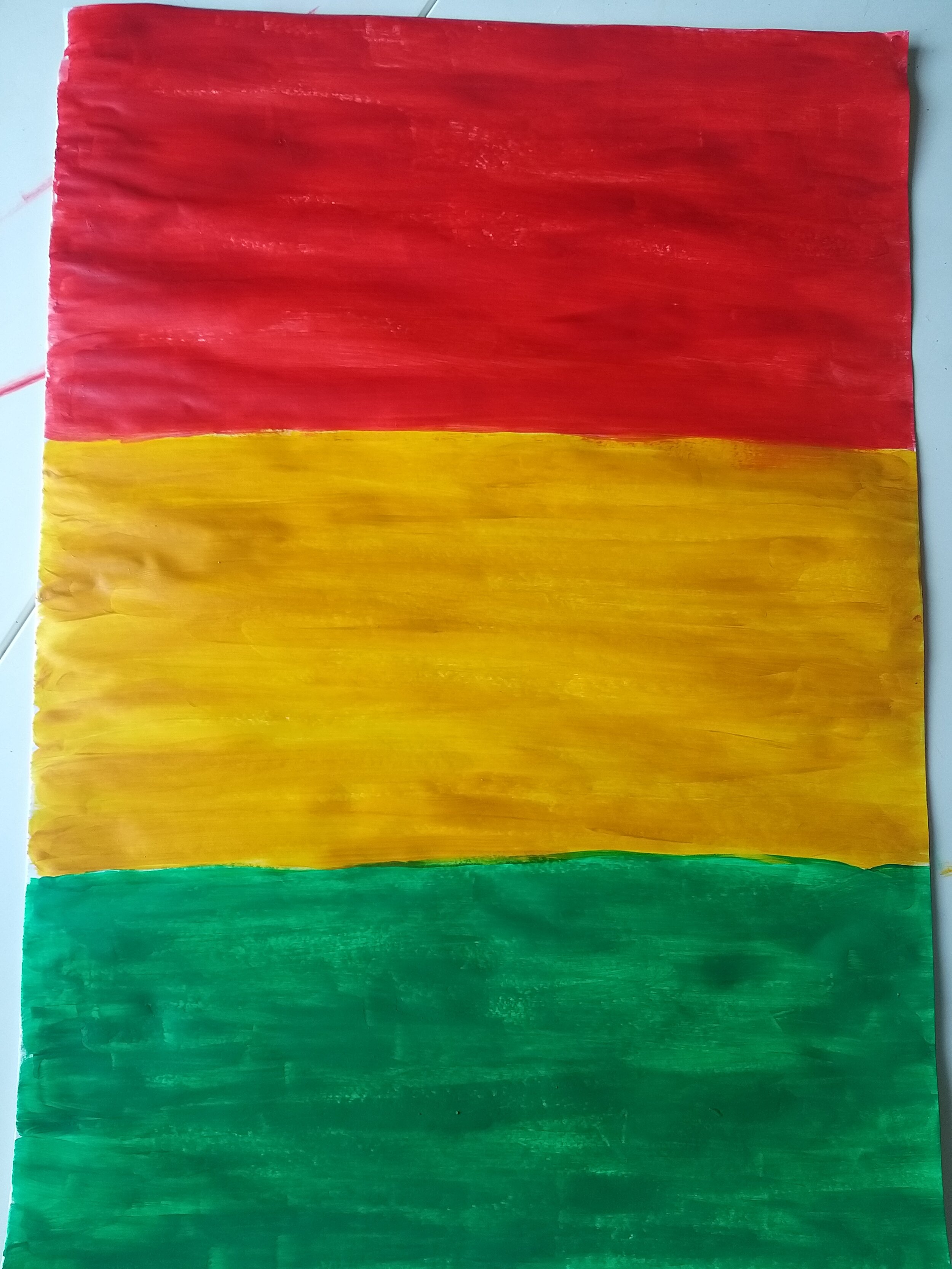 the Bolivian Flag meets the Pan African Movement