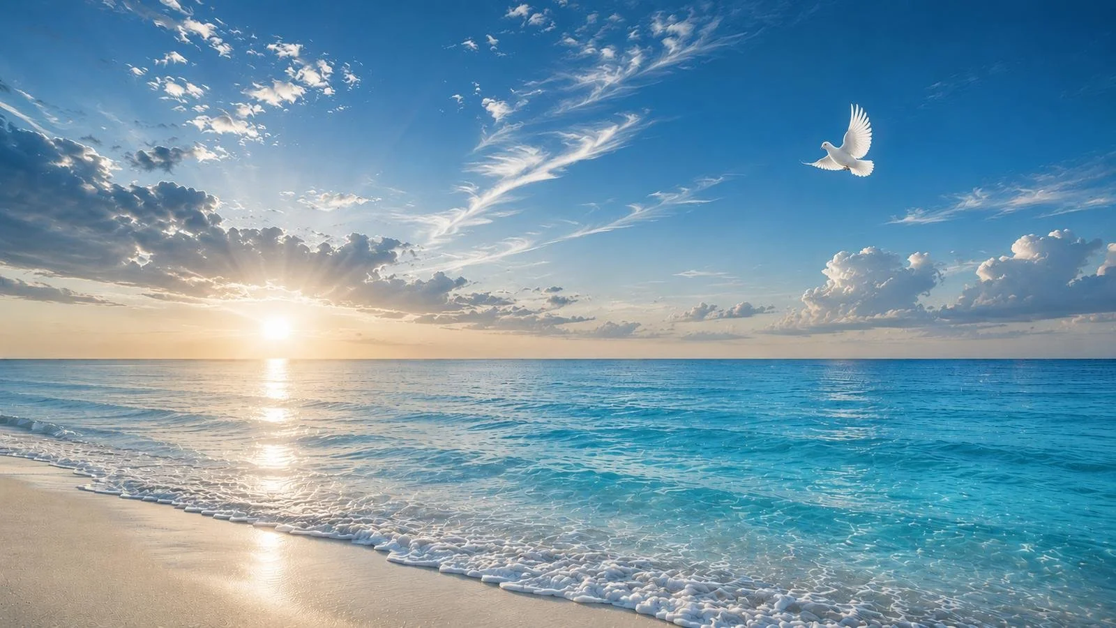 ACTS_About_Banner_1600x900_optimized.jpg
