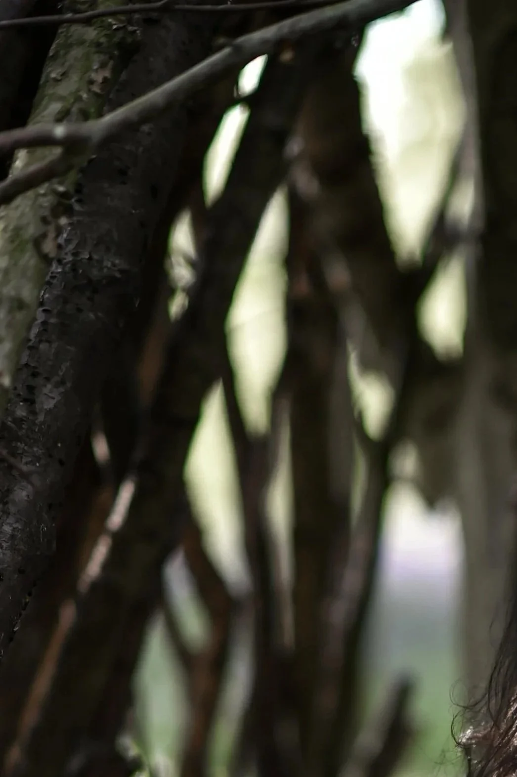 Ana Frantz Photography-194.jpg