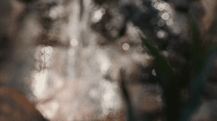 Jigsaw AW Campaign 2-high (1).gif