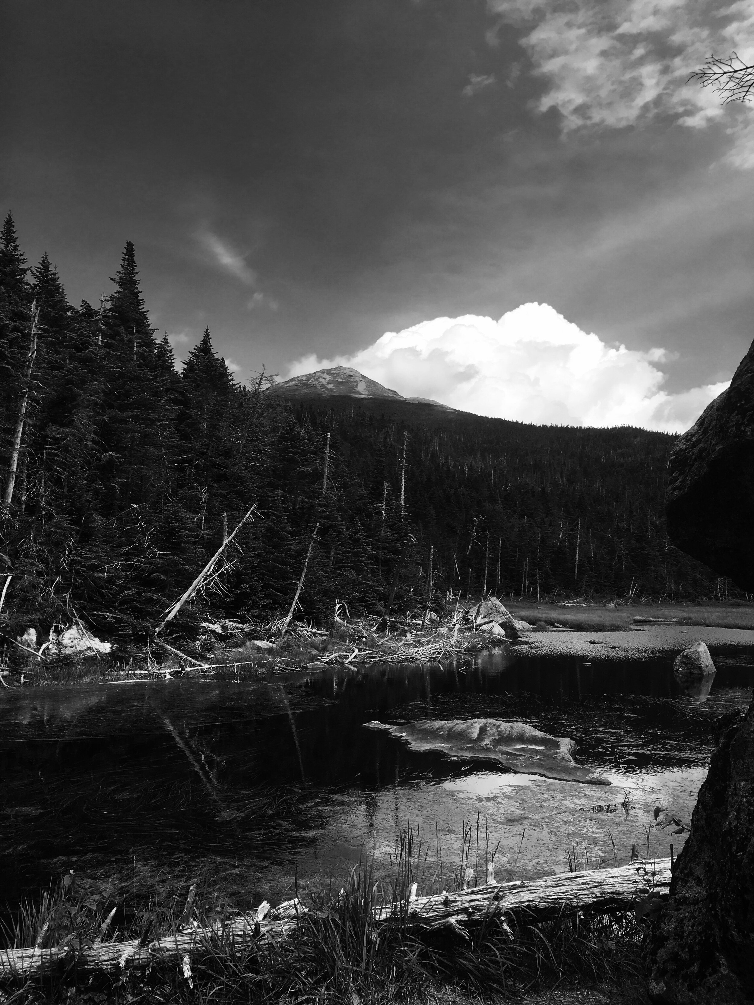 Signs of a Toxic Friendship