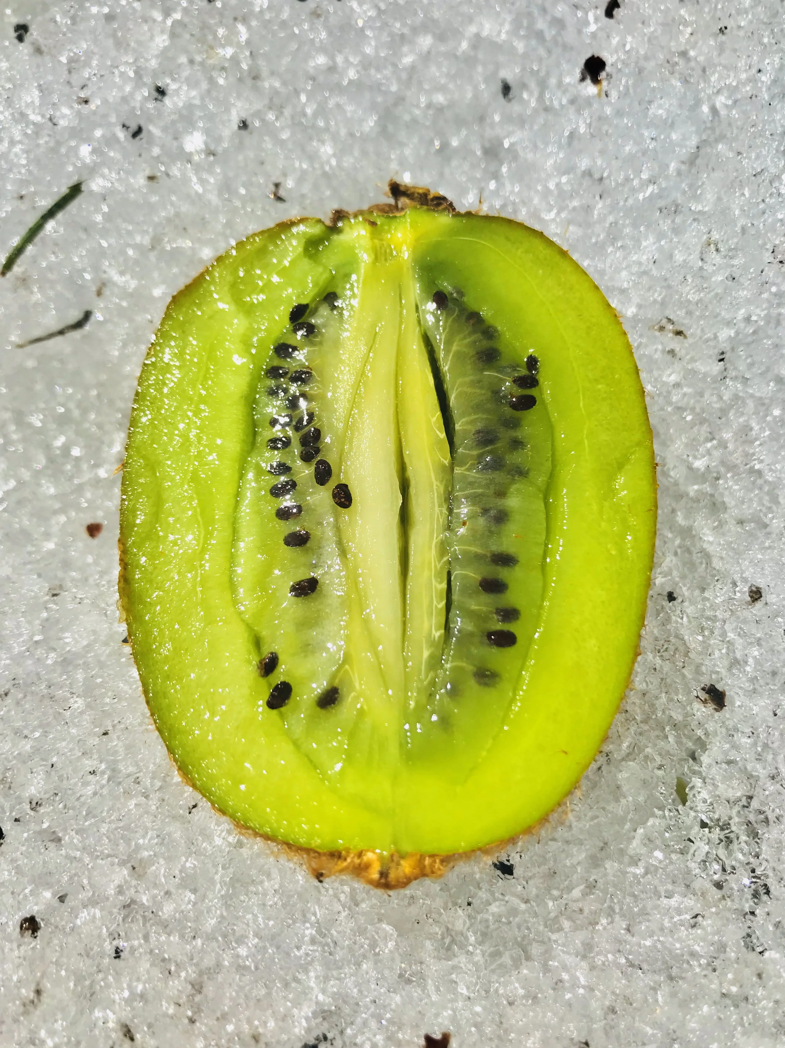 13) Sex Ed &amp; Fruit Porn