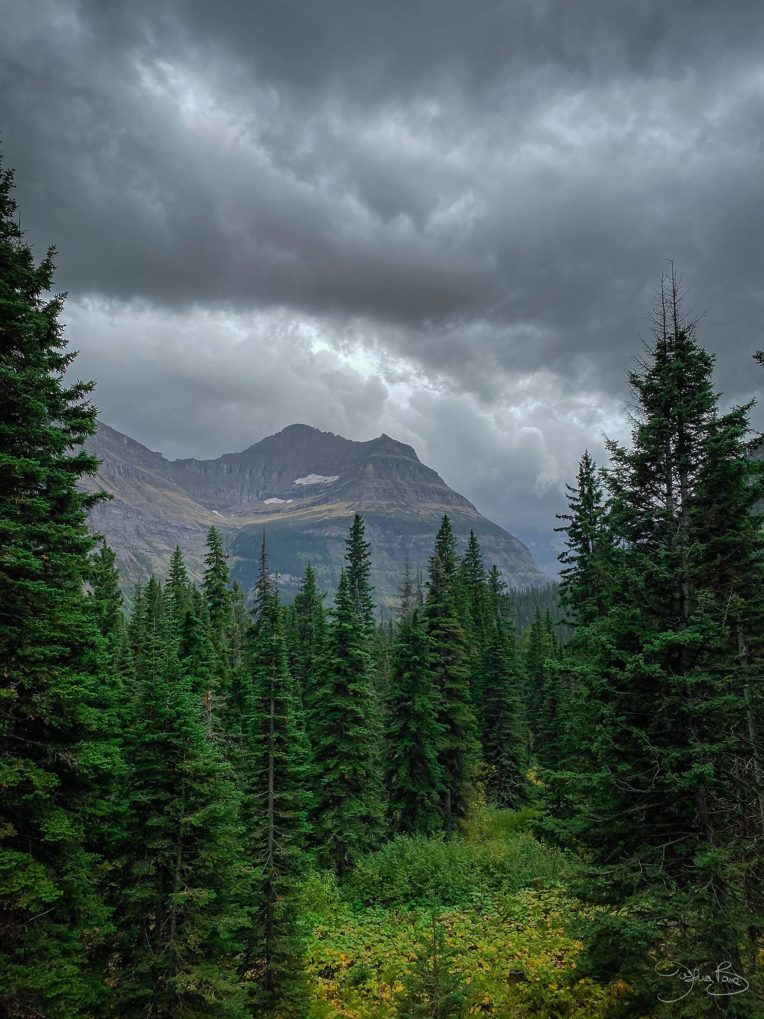 Montana+Glacier+Park-1-2.jpg