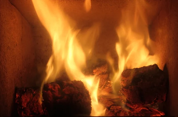 hotlogs.jpg