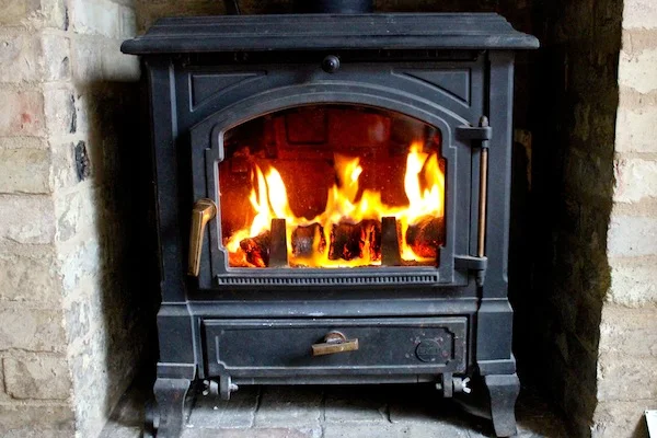 Cambridge Hotlogs burning in an Efel Harmony 1 stove