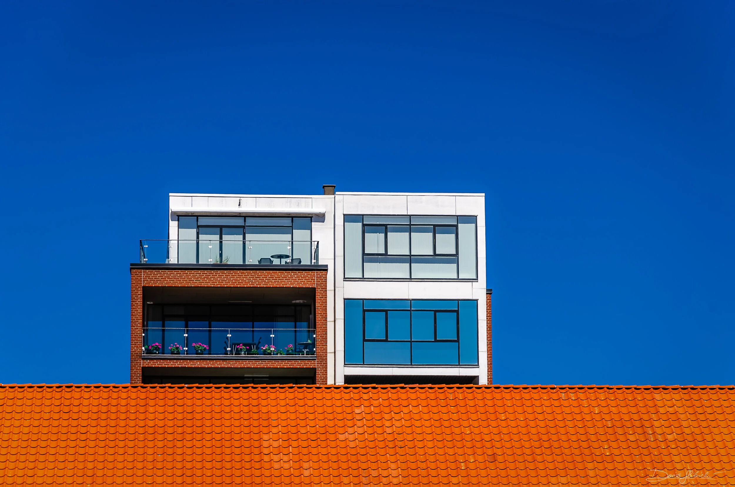 Abstract in Colour.jpg