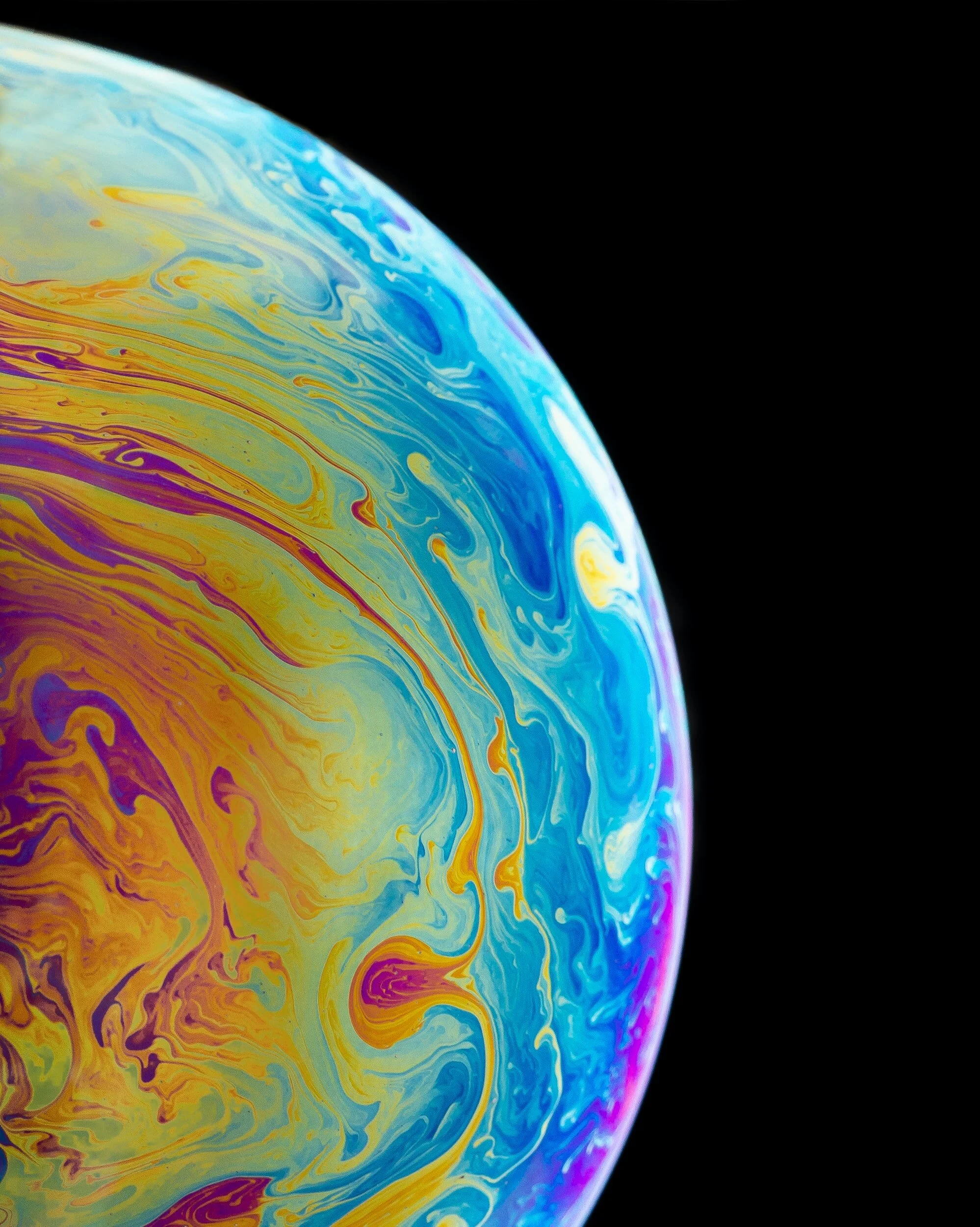 Explore the World of Taiko with Us!