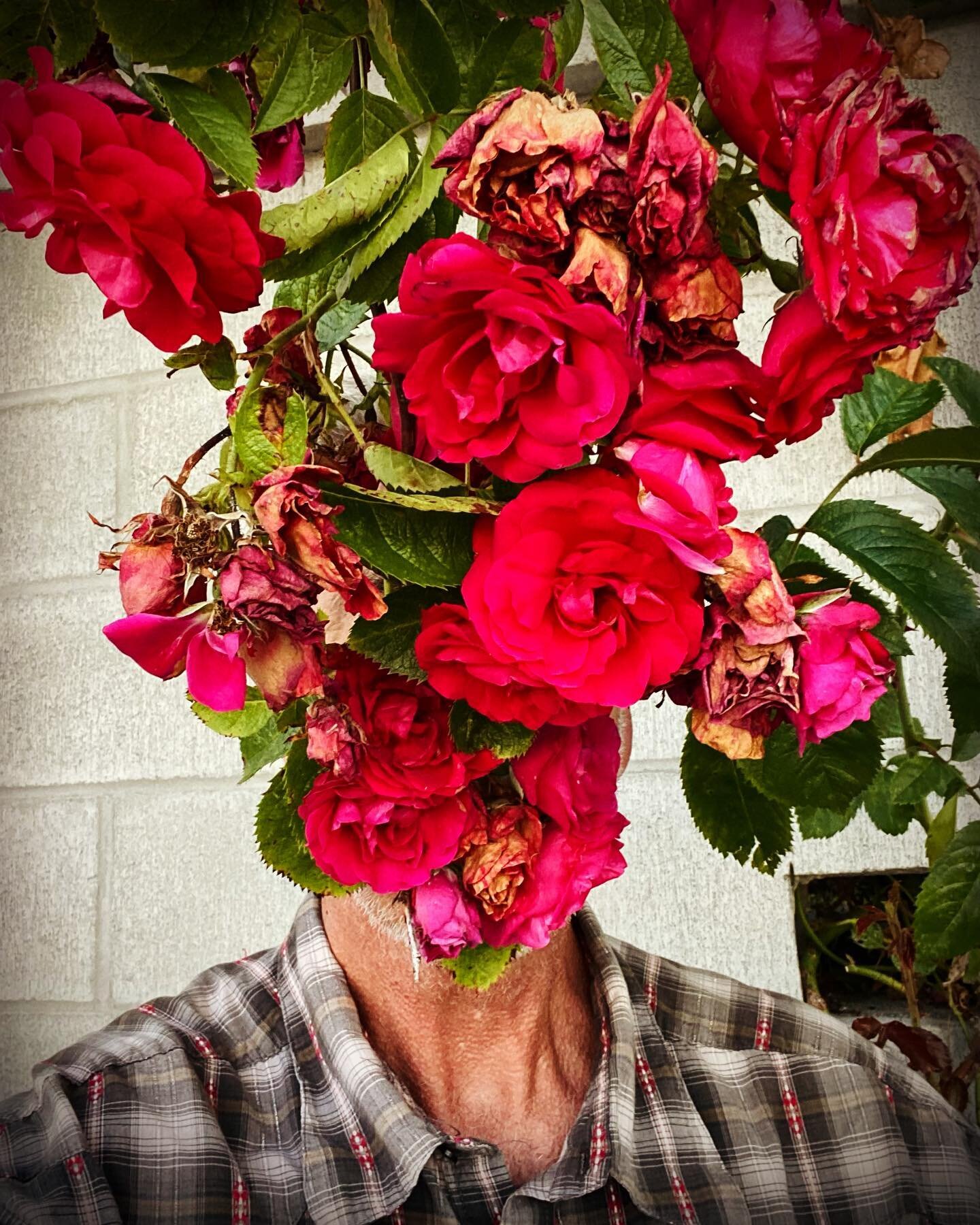 #selfportrait #photoselfportrait #surrealselfportrait #dadaismydada #tosoutine #withroses