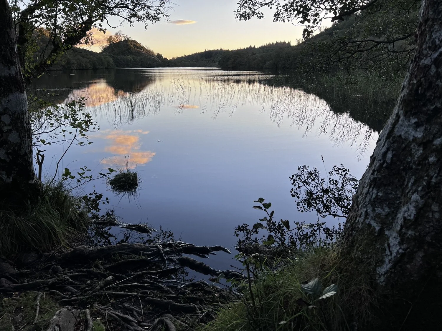 Scenes From an Amazing Trip