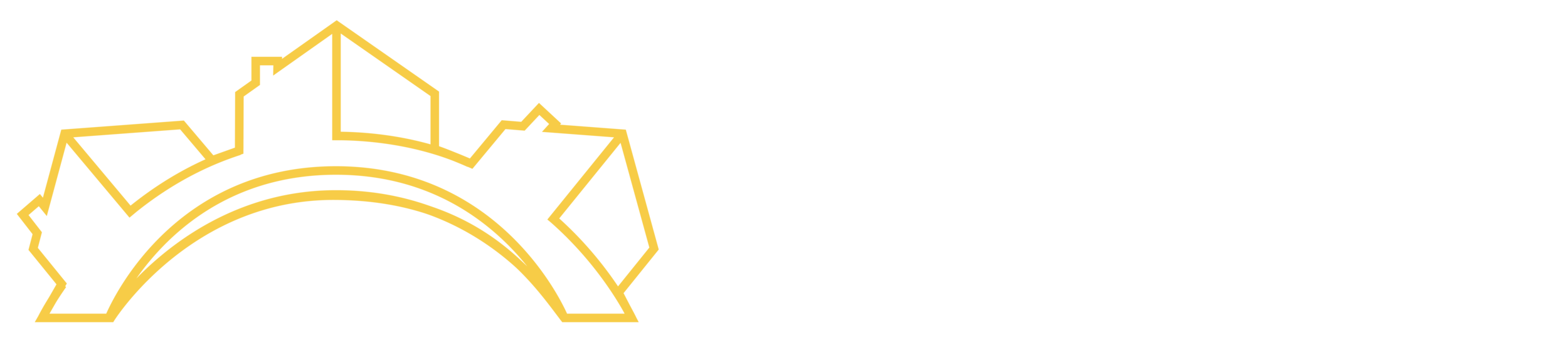 The COG CORPORATION