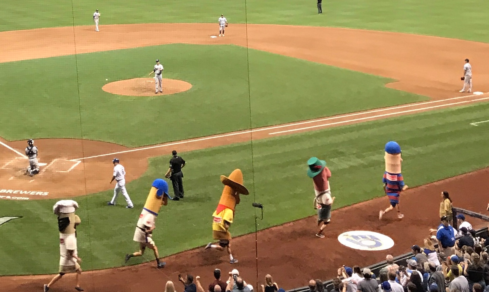 Italian, Hot Dog, Chorizo, Bratwurst, and Polish (left to right)