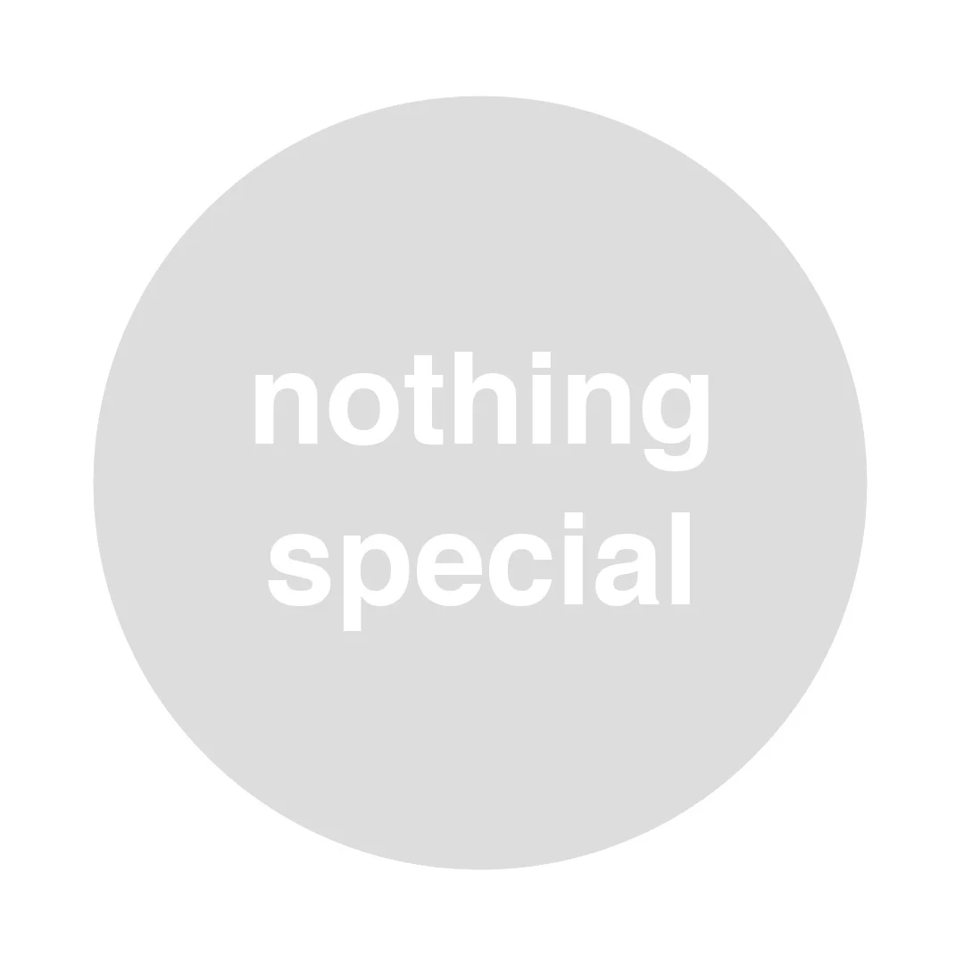 nothingspeciallogo.jpg