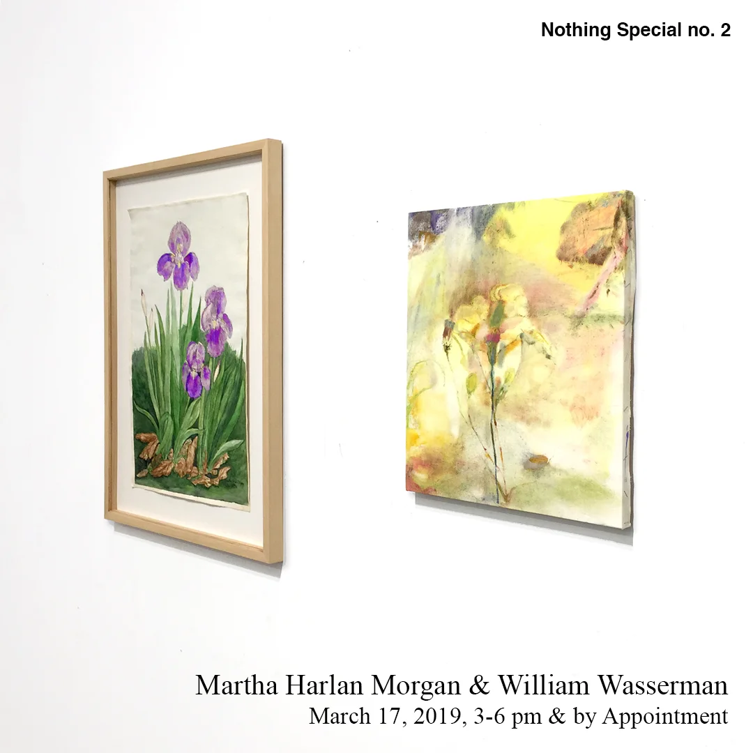 Opening reception March 17, 3-6pm. On view through May 5, 2019.