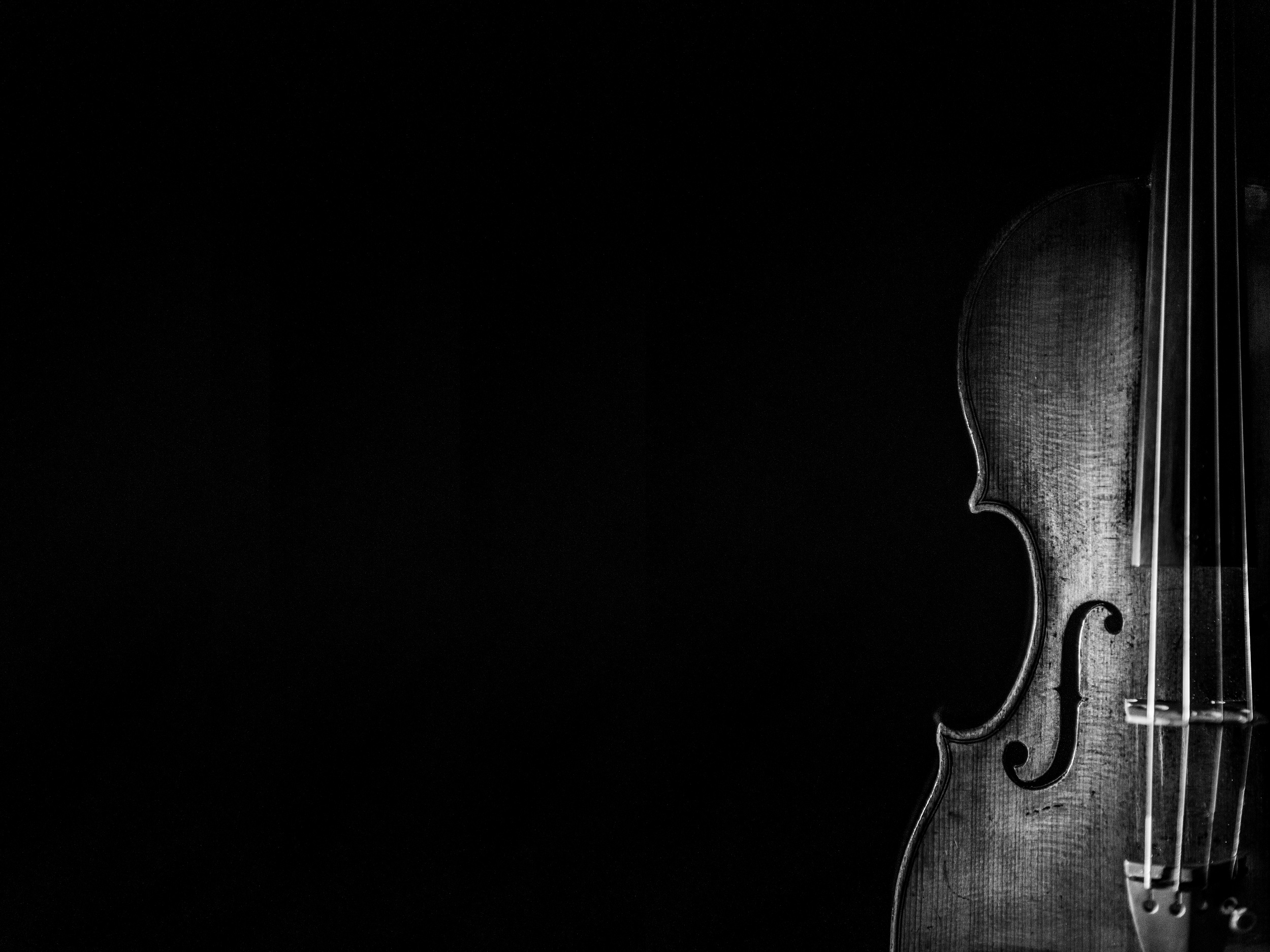 violin 1 - Copy - resize 2500.jpg