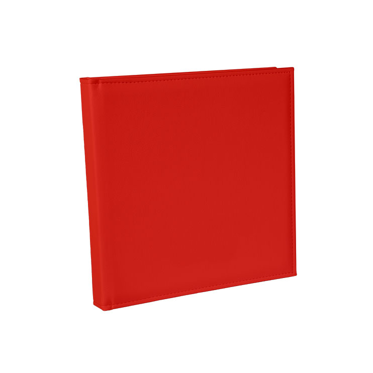 ROOD-LEDER.jpg