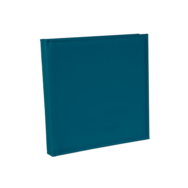 TURQUOISE-LEDER.jpg