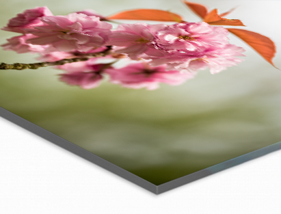 Highlights Echte fotokwaliteit Het mooiste Fuji fotopapier voor een sublieme kleurweergave Het helderste acryl met bijzondere dieptewerking Glashelder gepolijste randen Jarenlange bescherming van uw beeld