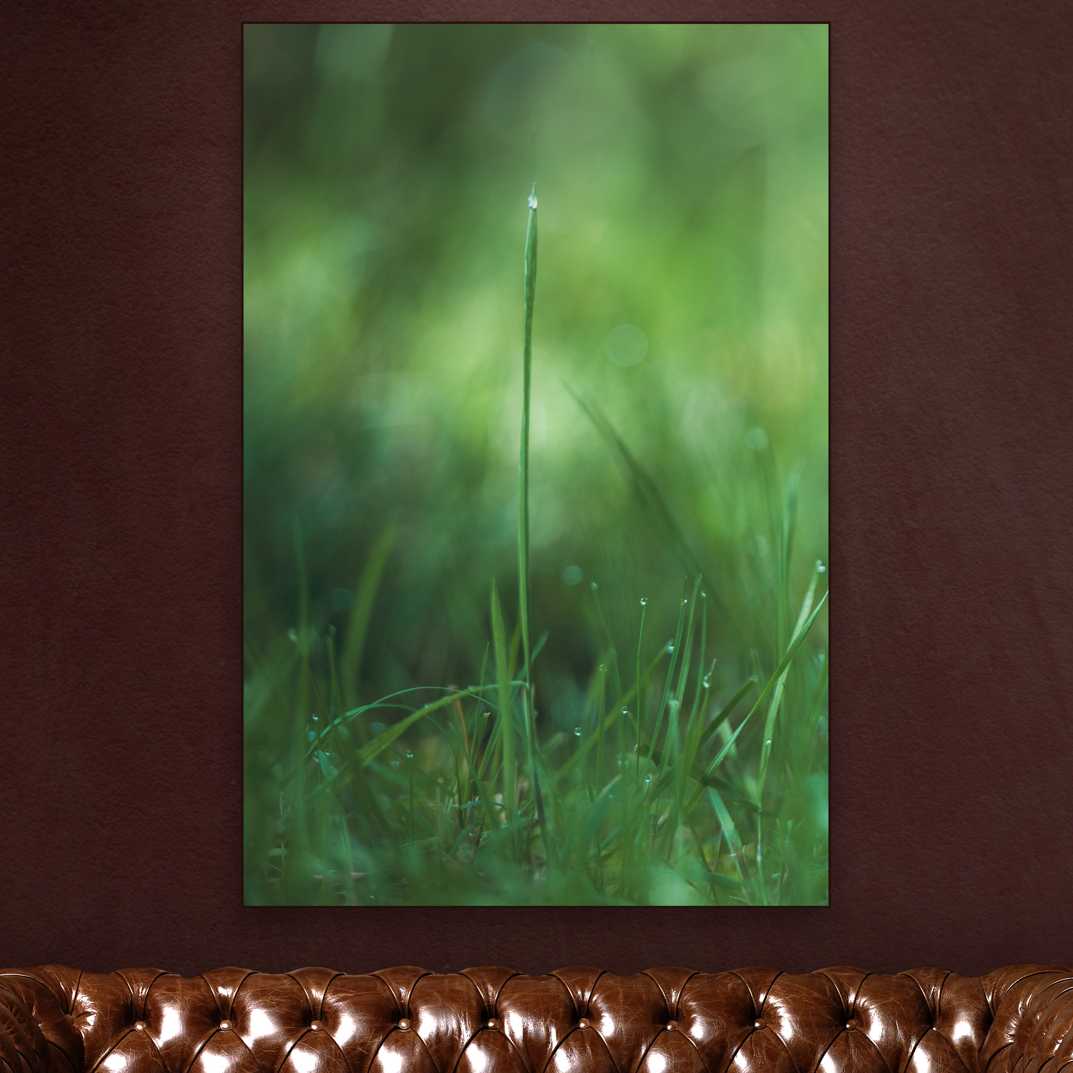 GRASSPRIET-1.png