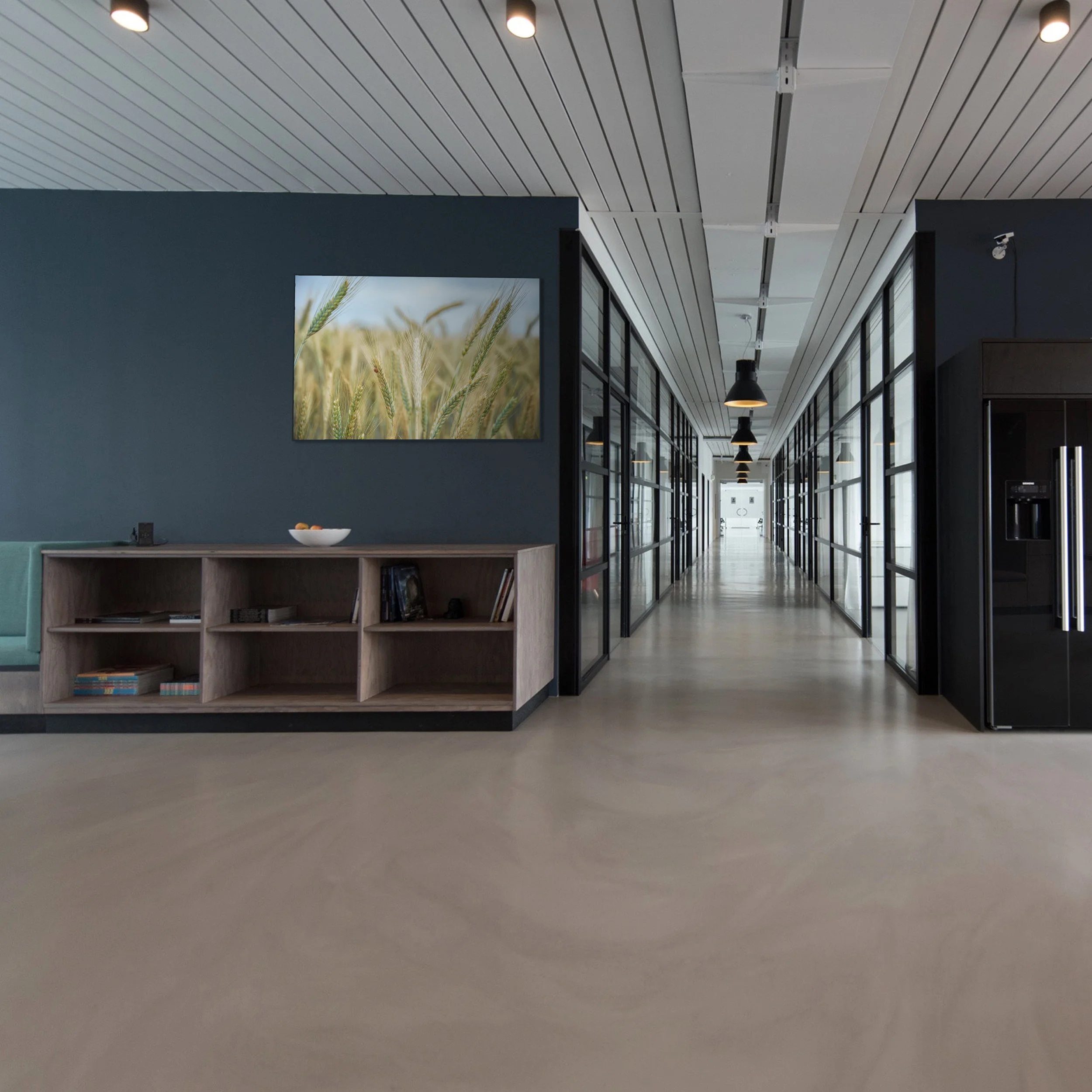 KORENVELD-3.jpg