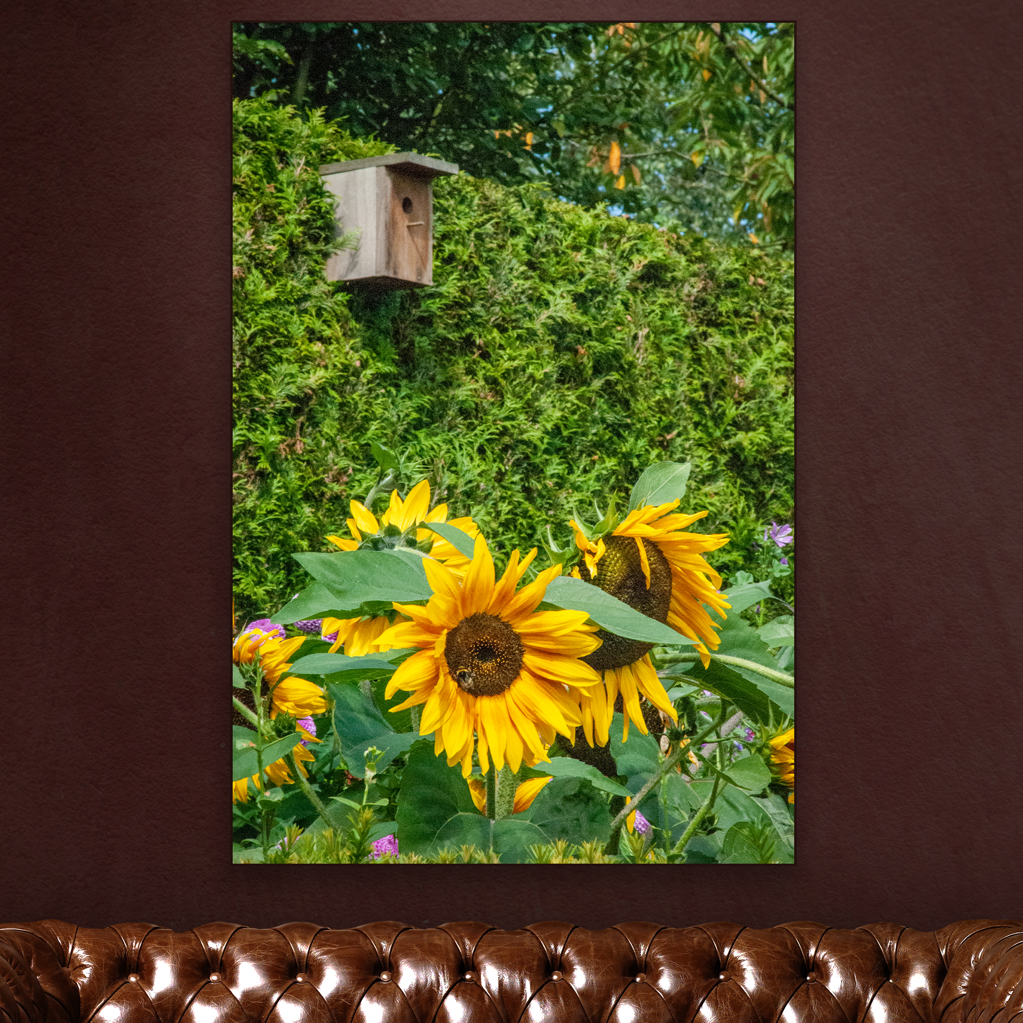 SUNFLOWERS-1.png