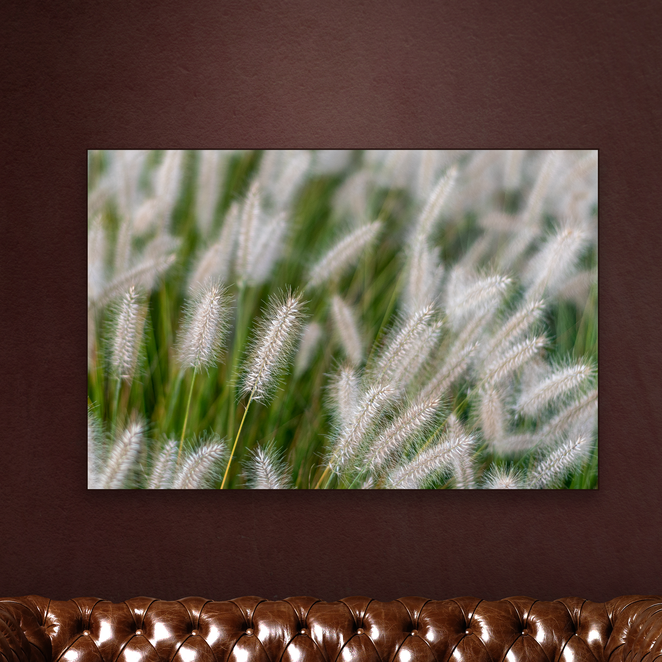GRAS-1.png