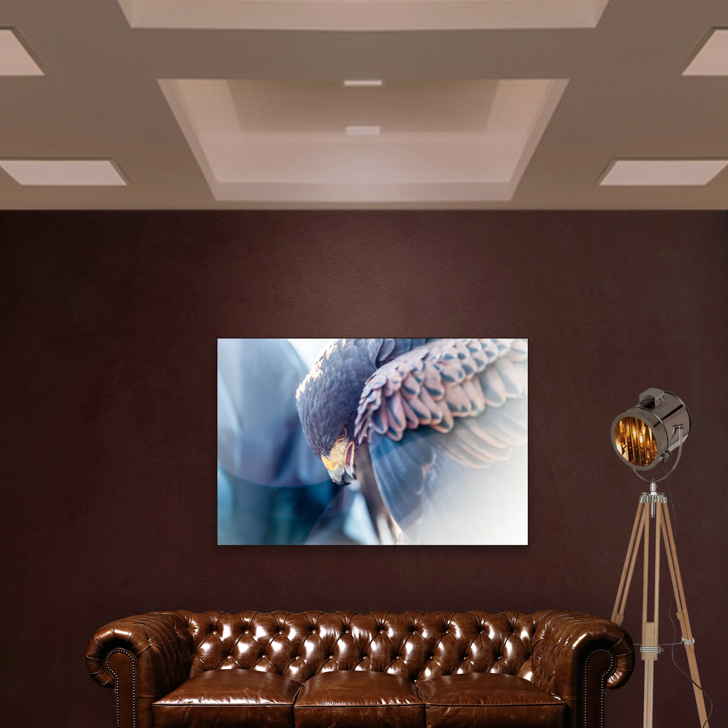 ZEE-AREND-2.jpg