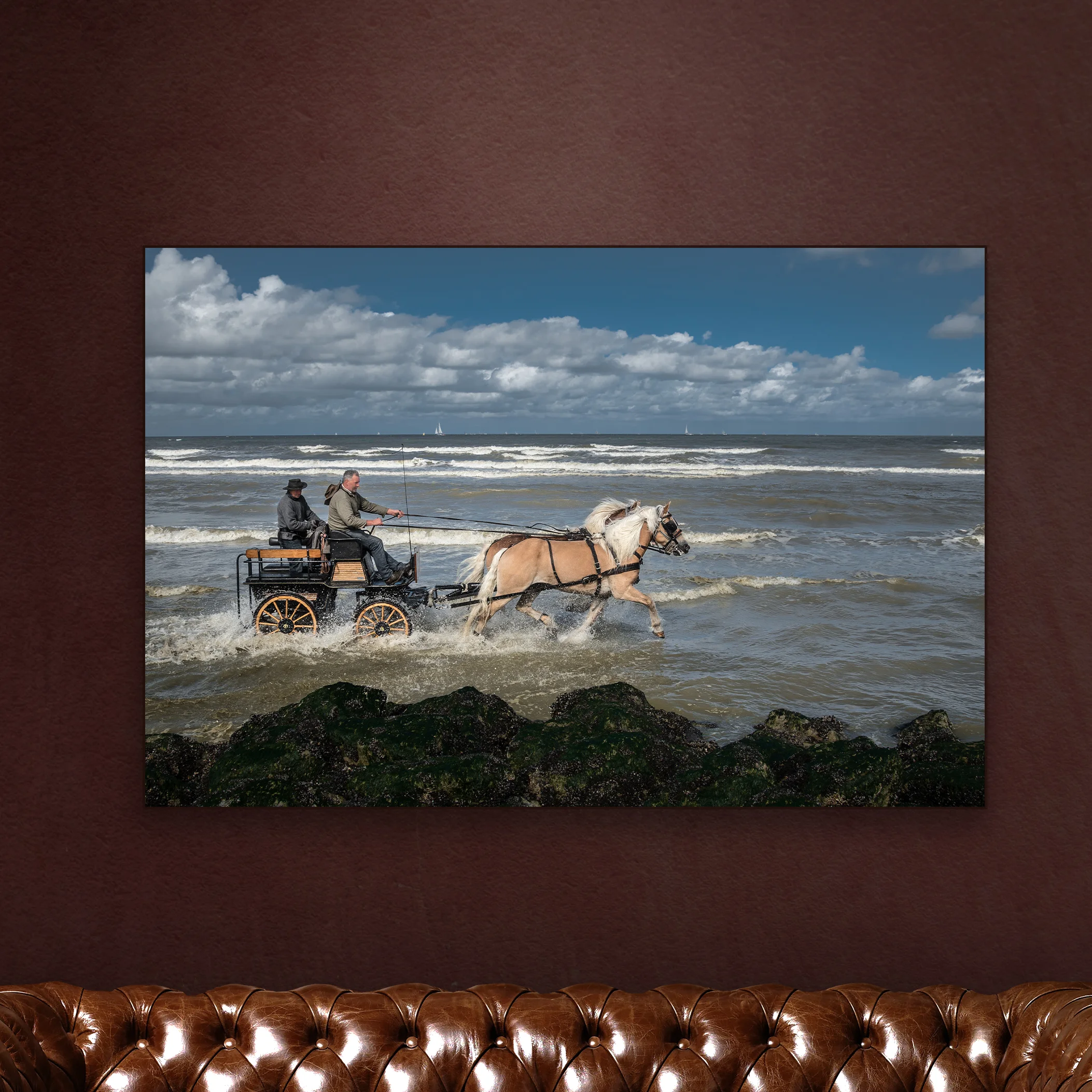 PAARDENKOETS1-1.jpg