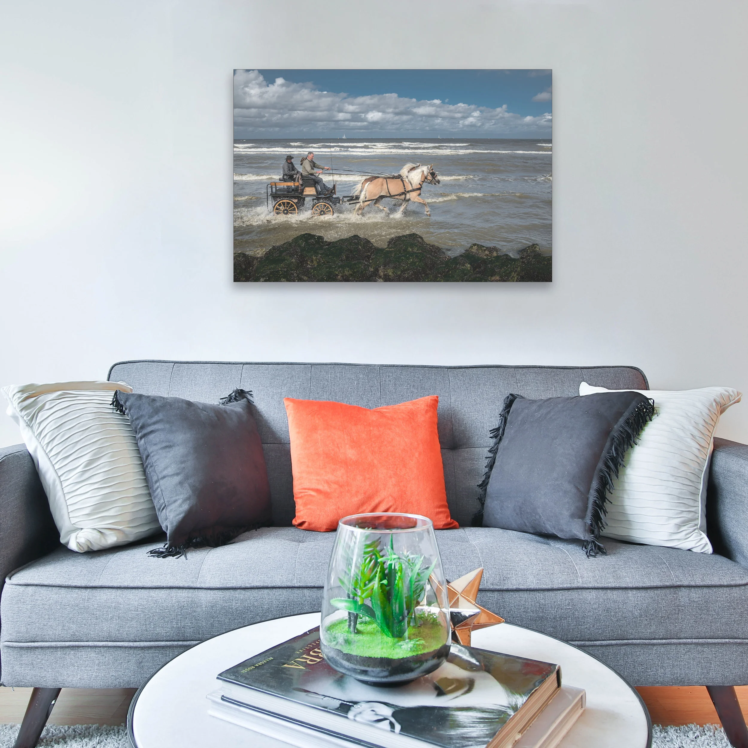 PAARDENKOETS1-5.jpg