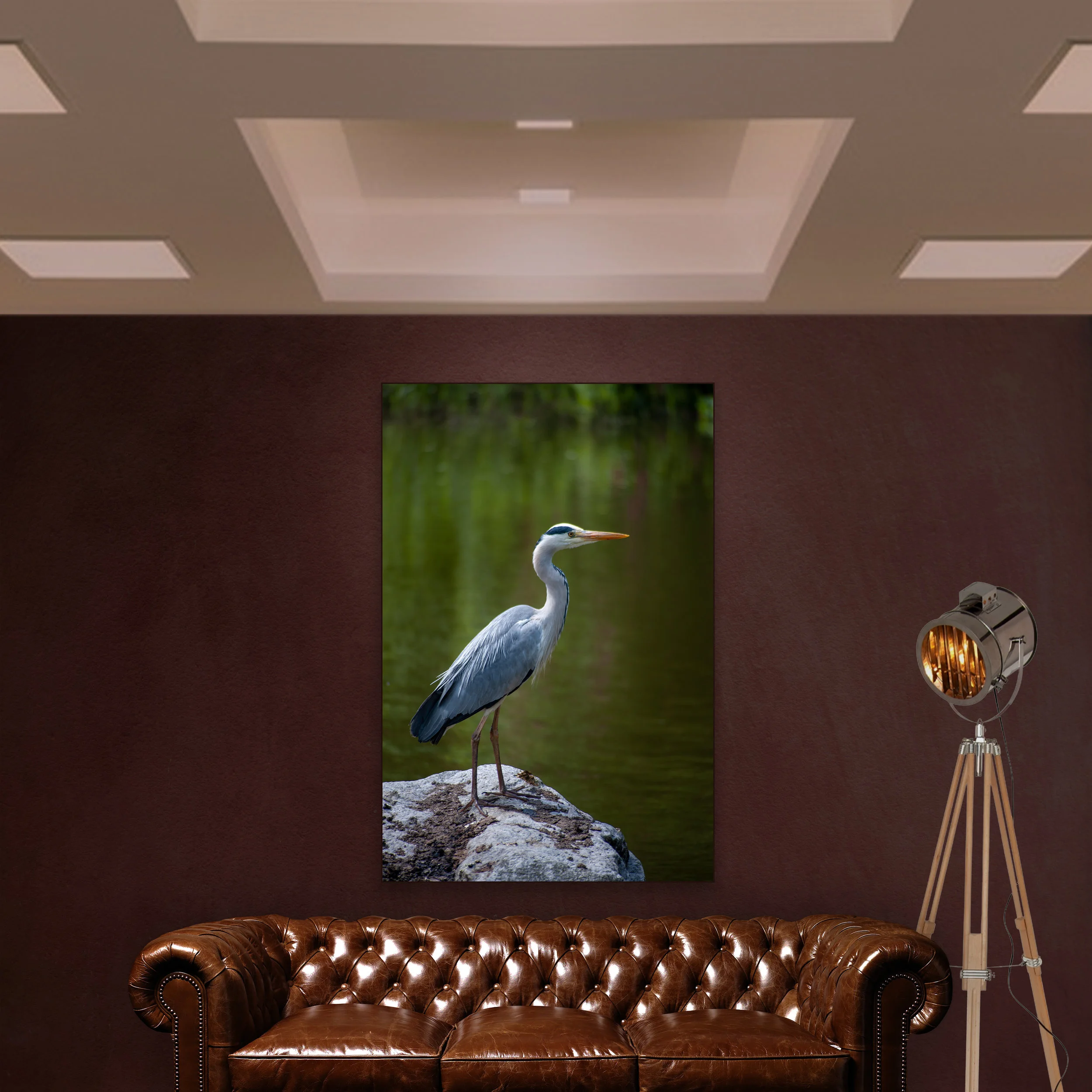 REIGER-2.jpg