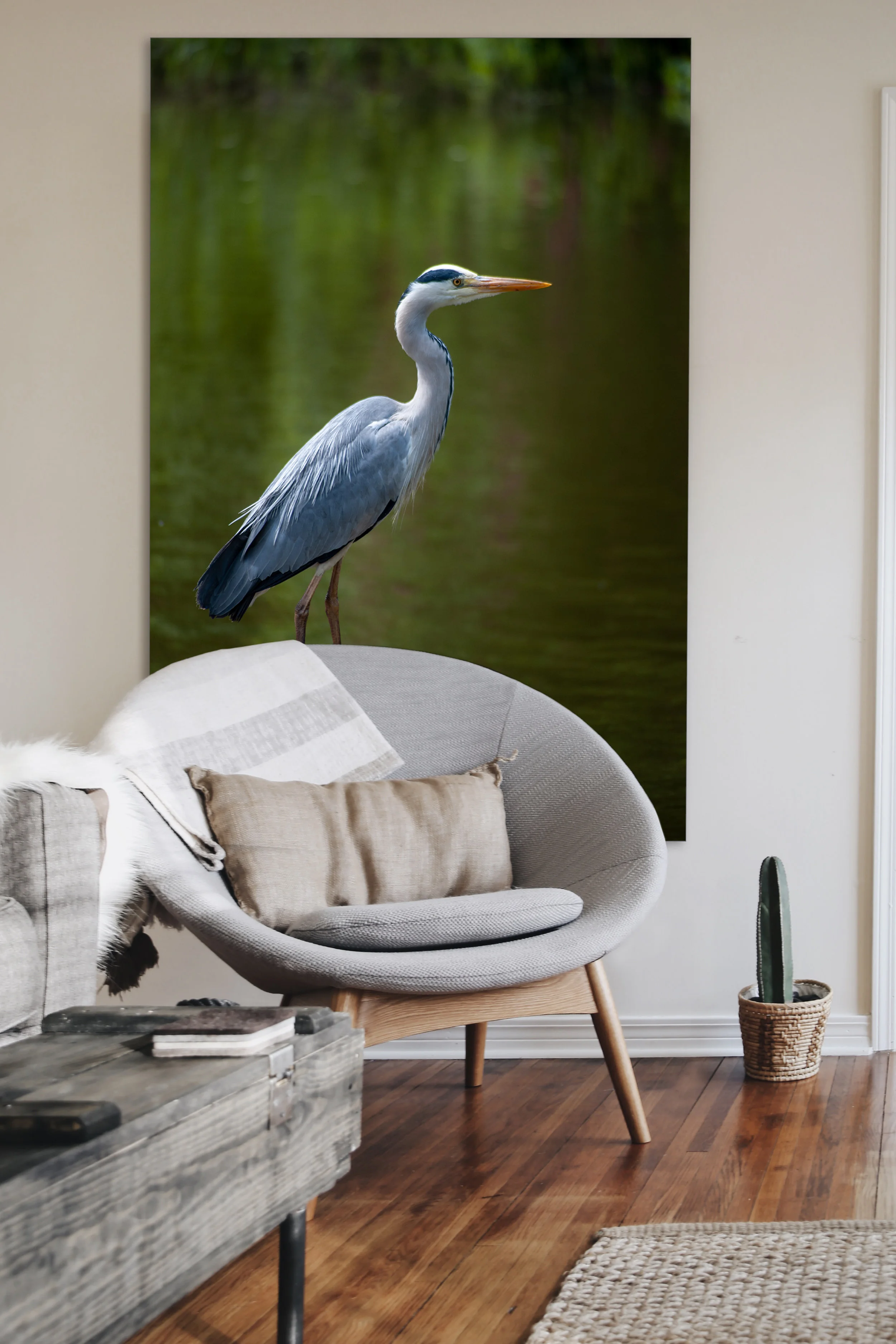 REIGER-5.jpg