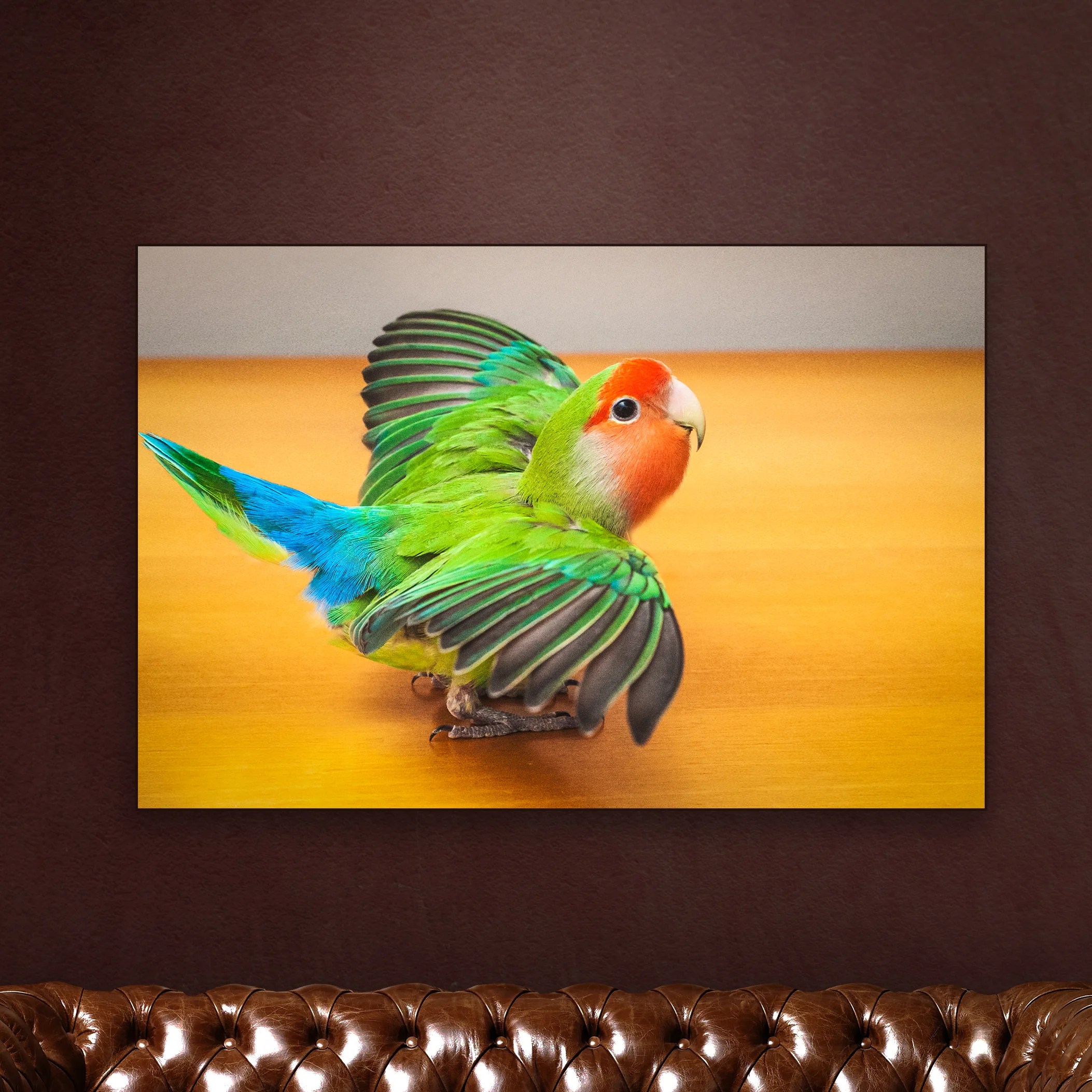 BIRD-1.jpg