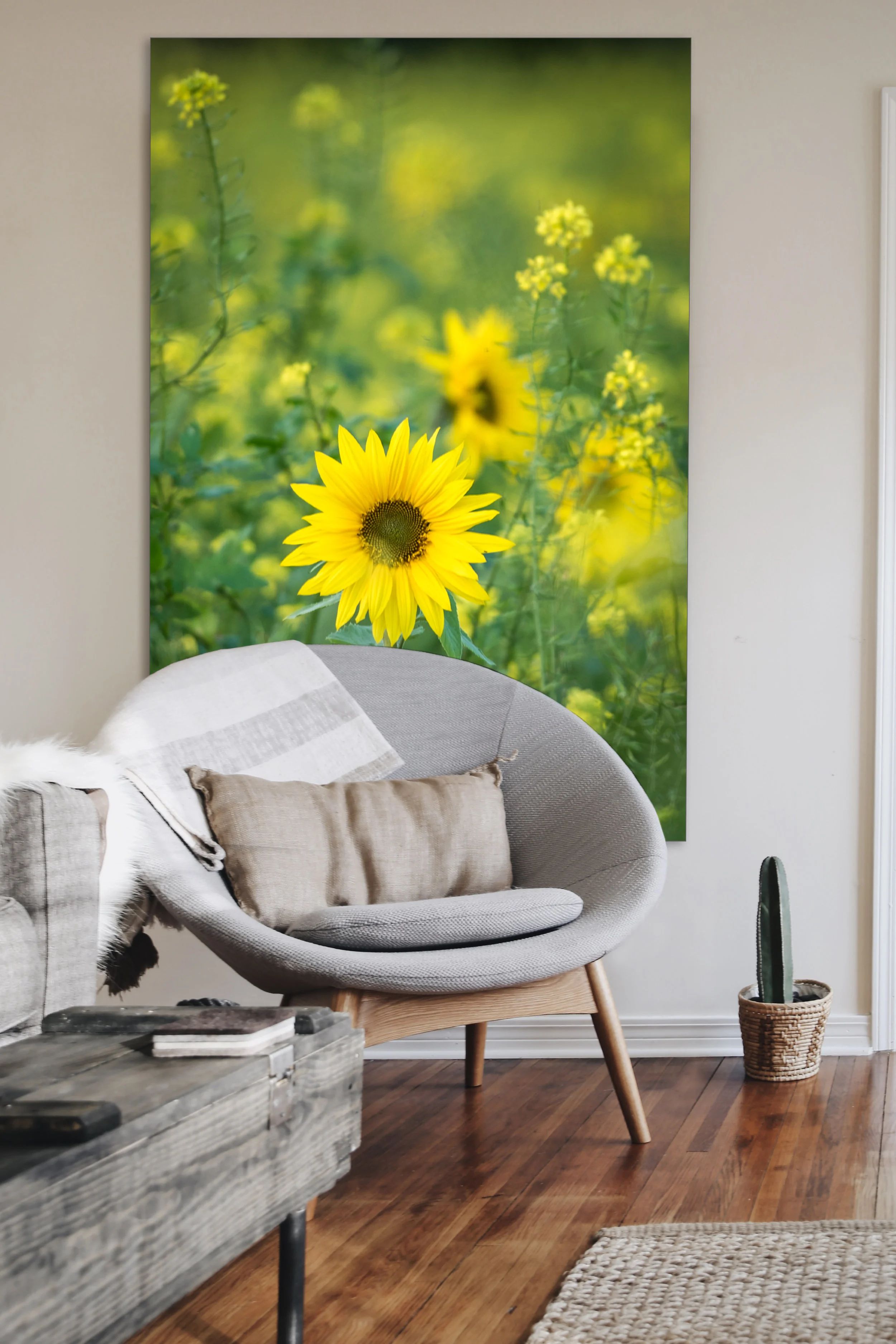 SUNFLOWERS2-5.jpg