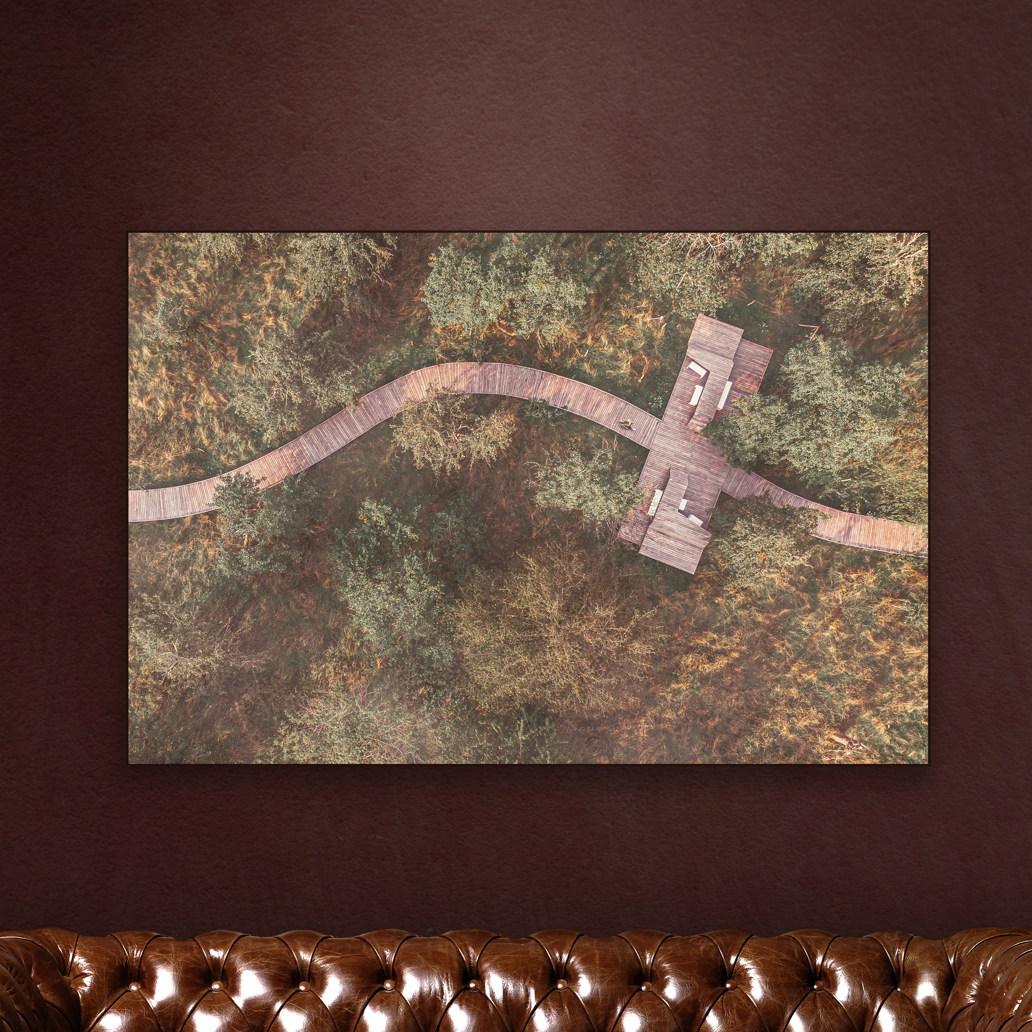 JOGGER-FROM-ABOVE-1.jpg
