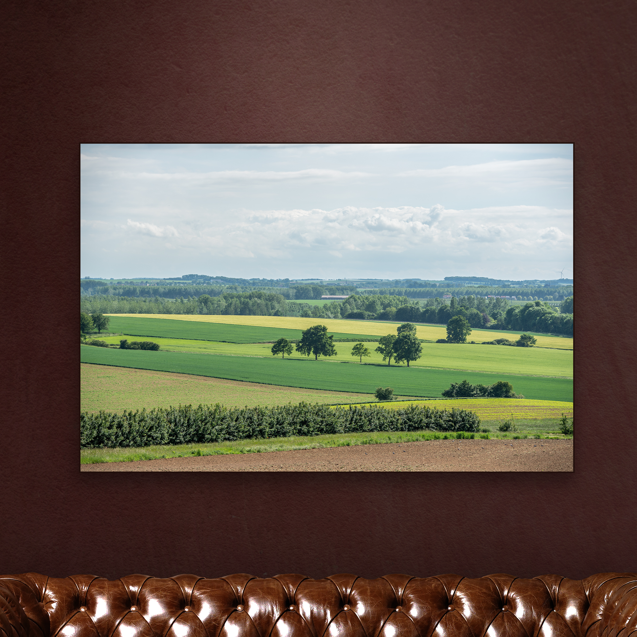 VIEW-BORGLOON-1.jpg