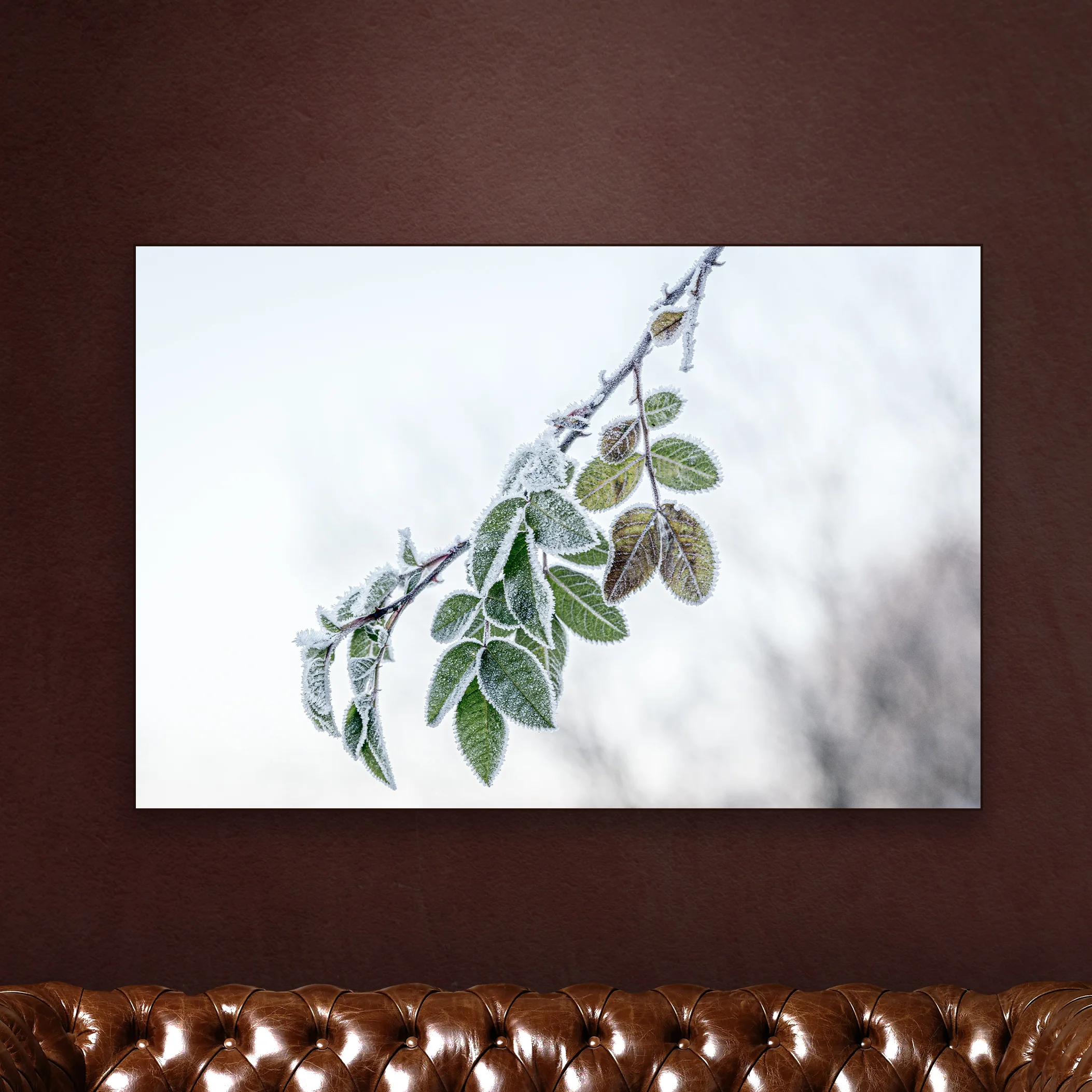 FROZEN-BRANCH-1.jpg