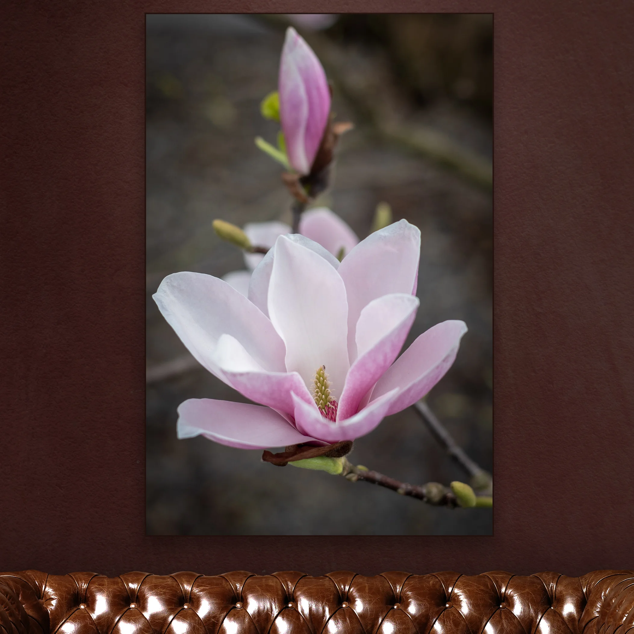 MAGNOLIA-1.jpg