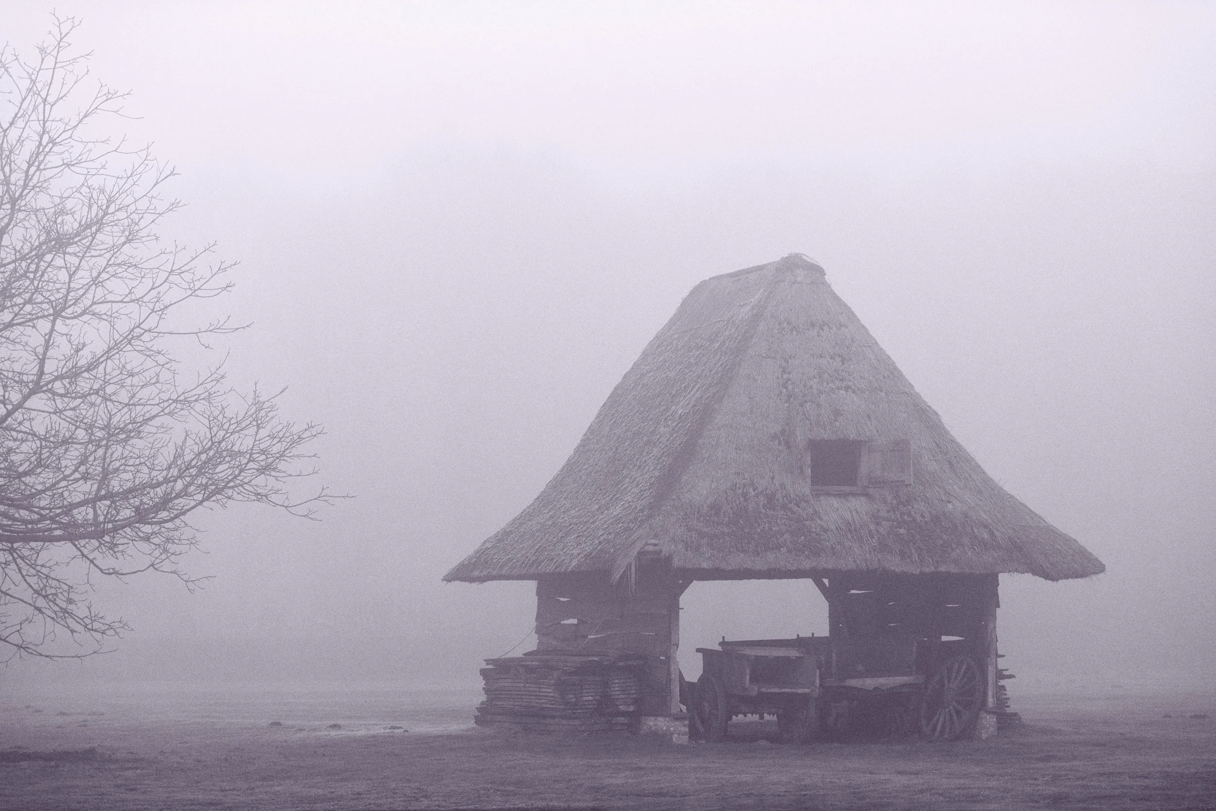 BARN IN THE FOG-0.jpg