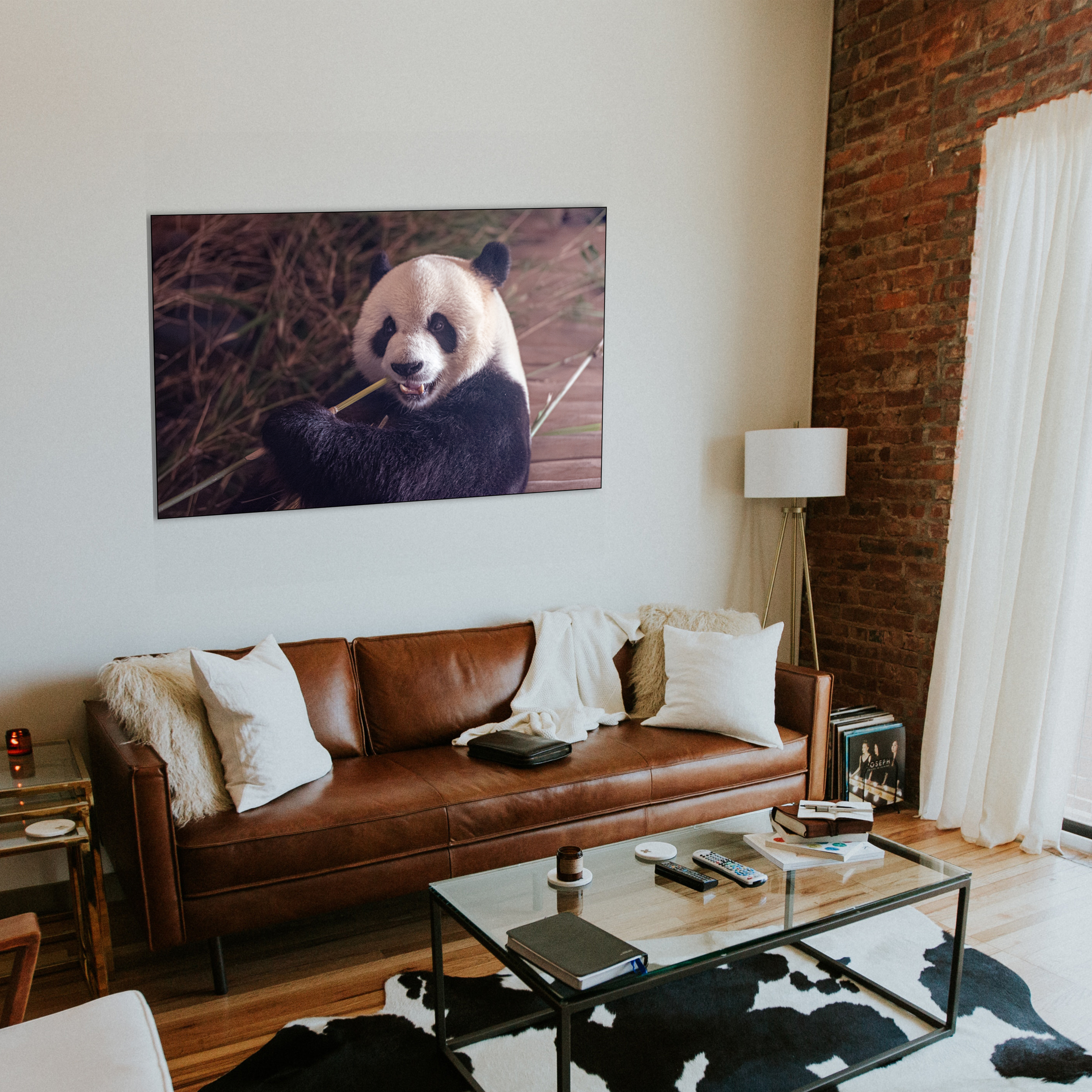 PANDA-6.jpg