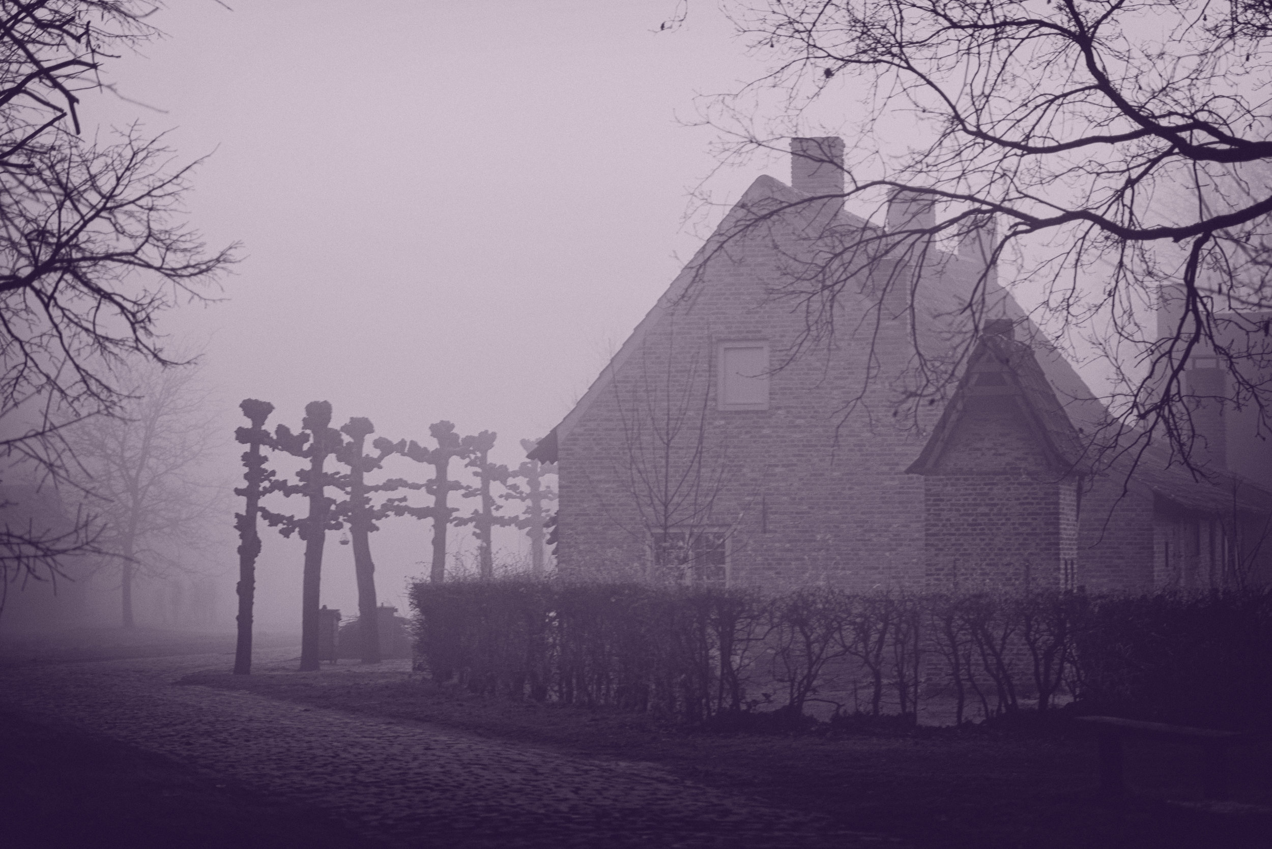 HOUSE-IN-THE-MIST-0.jpg