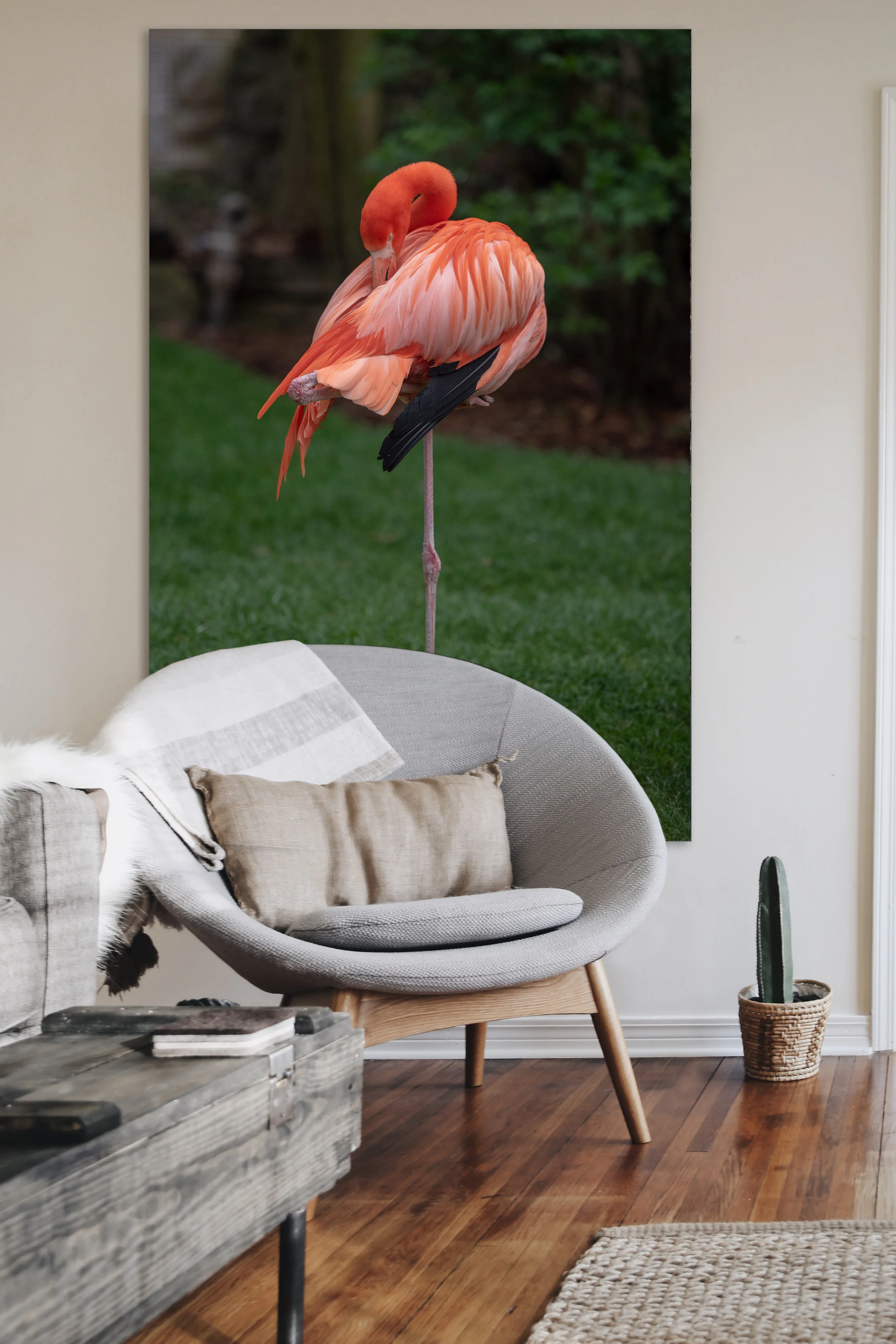 FLAMINGO2-5.jpg