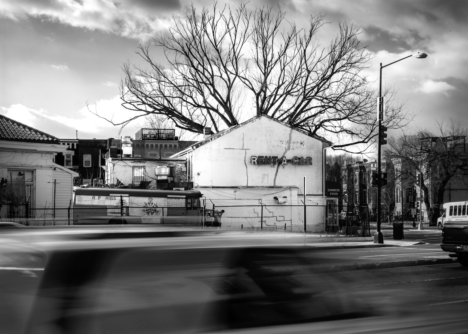 City Tree: Don King Rent-A-Car, 2019