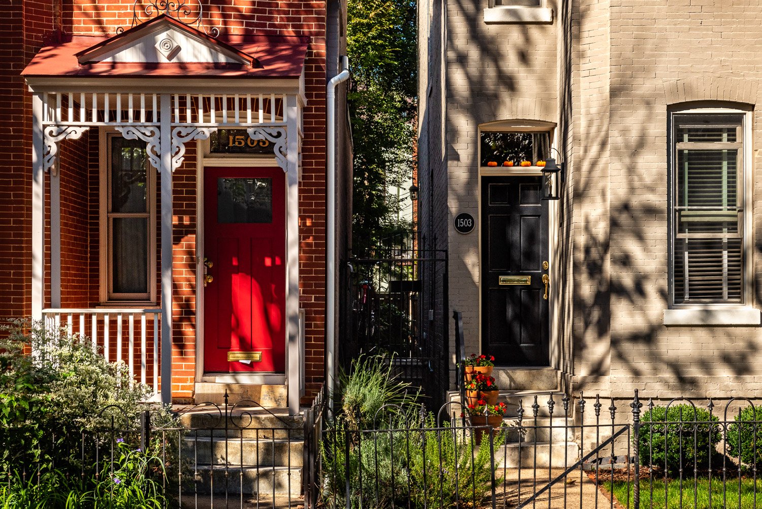 Neighbors: Four Pumpkins, 2021