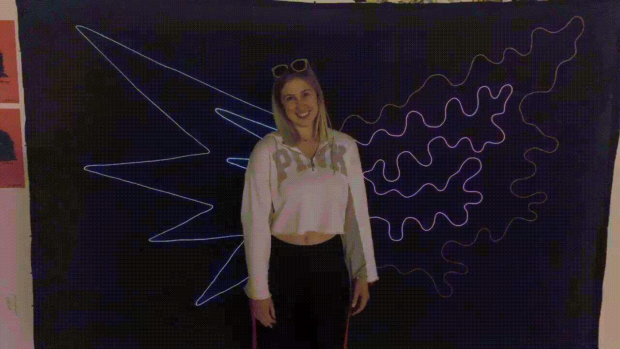 wings1.gif