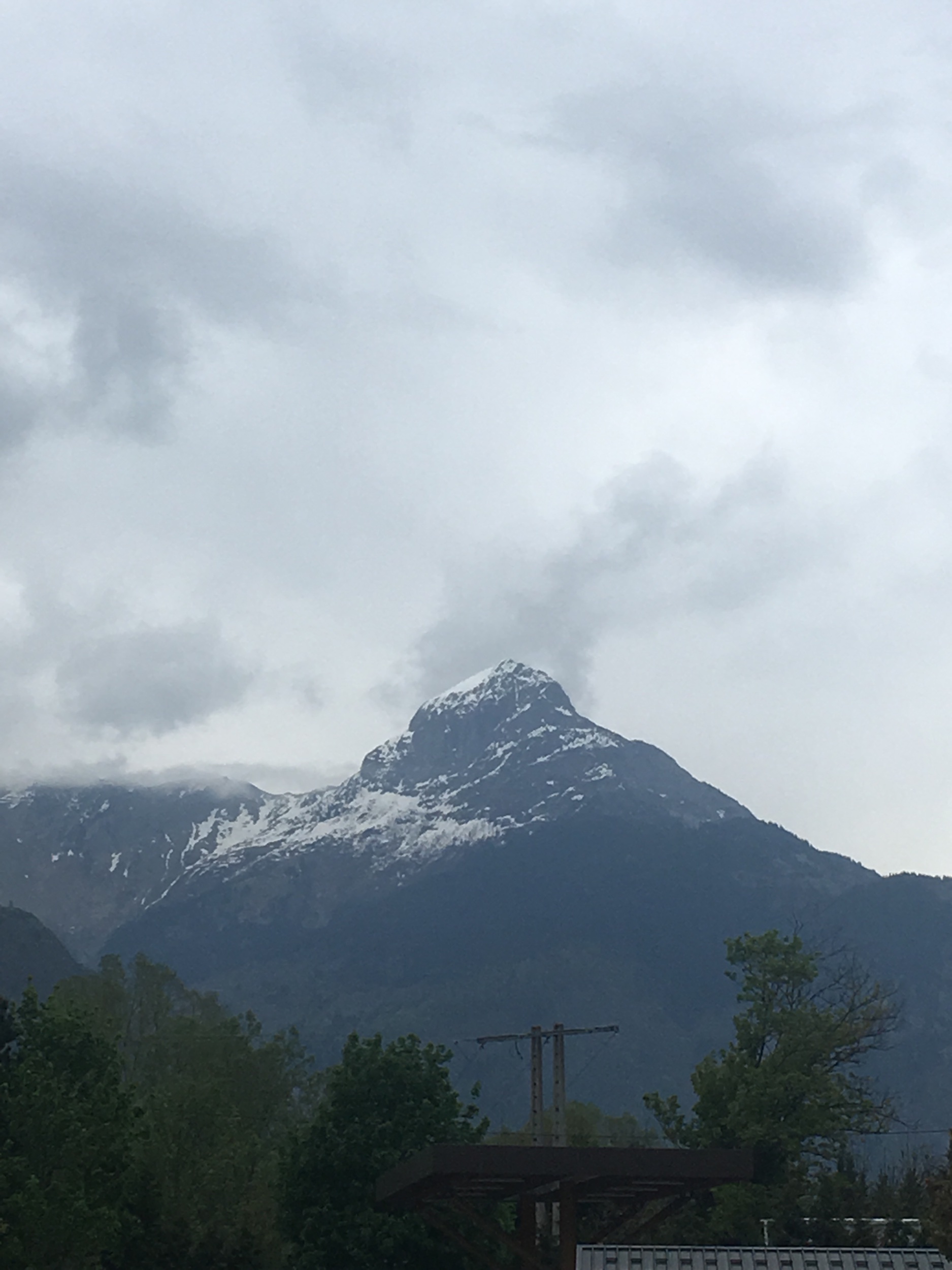 IMG_4413.jpeg