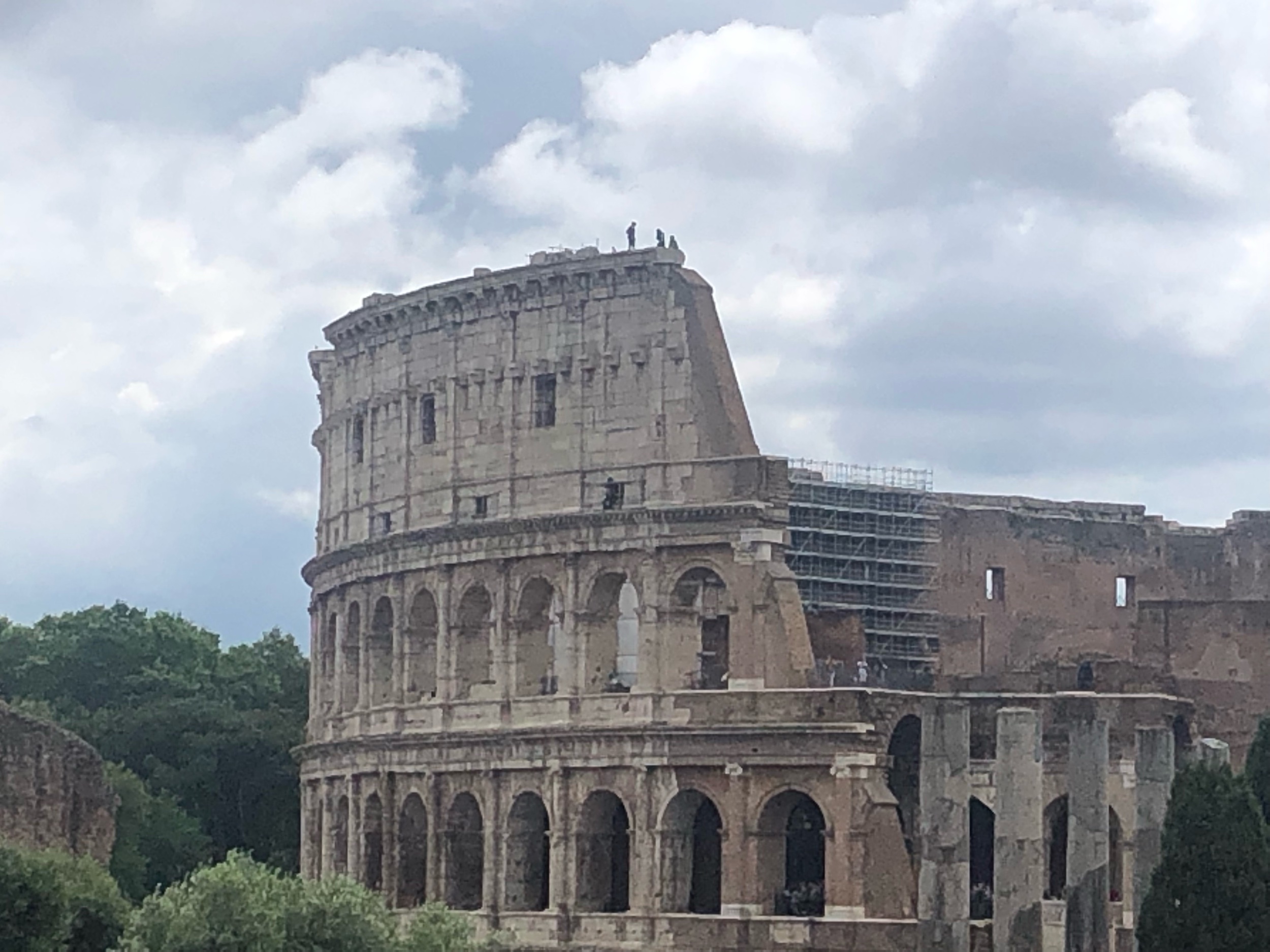IMG_1320.jpeg