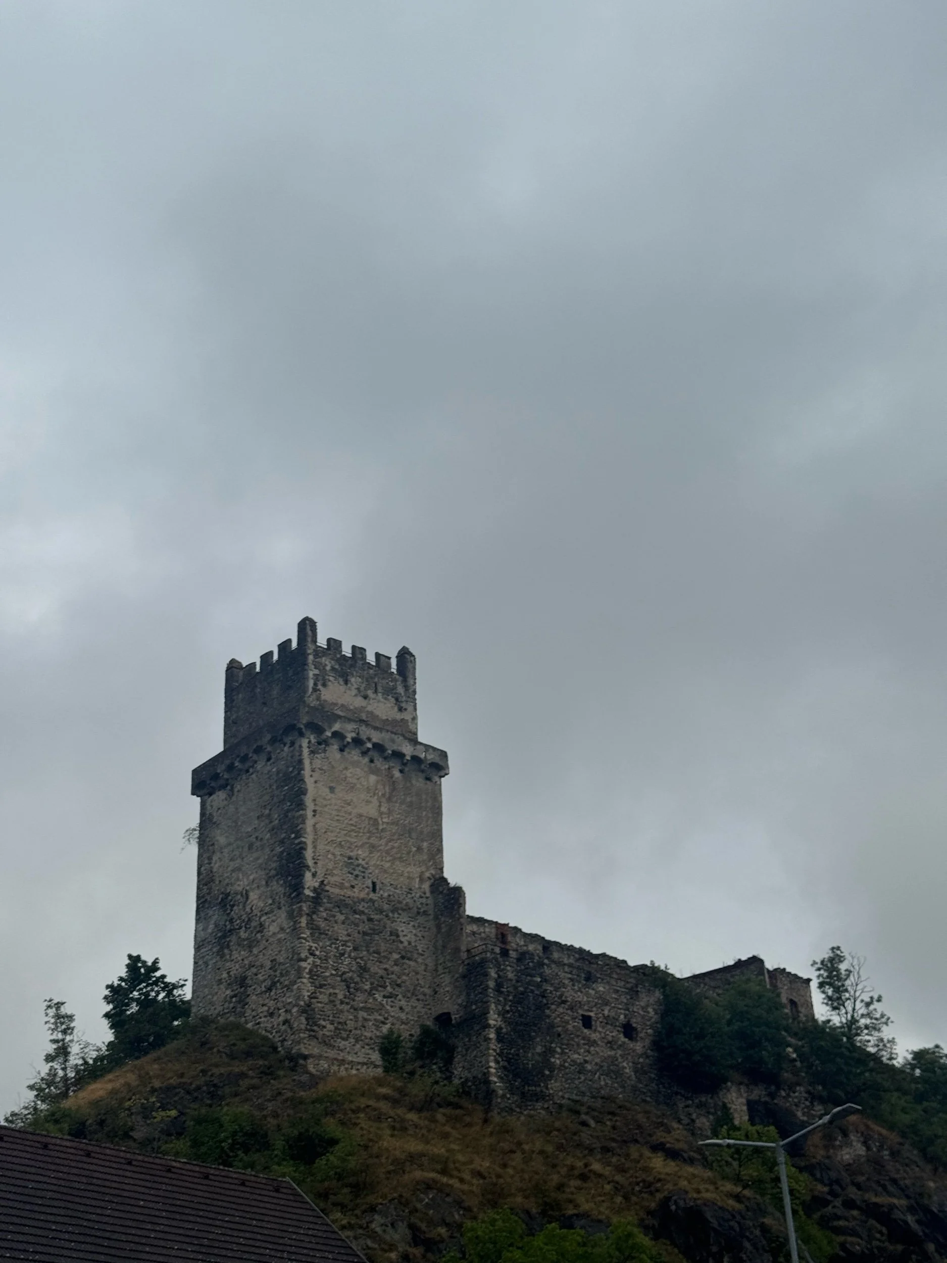 IMG_1773.jpeg