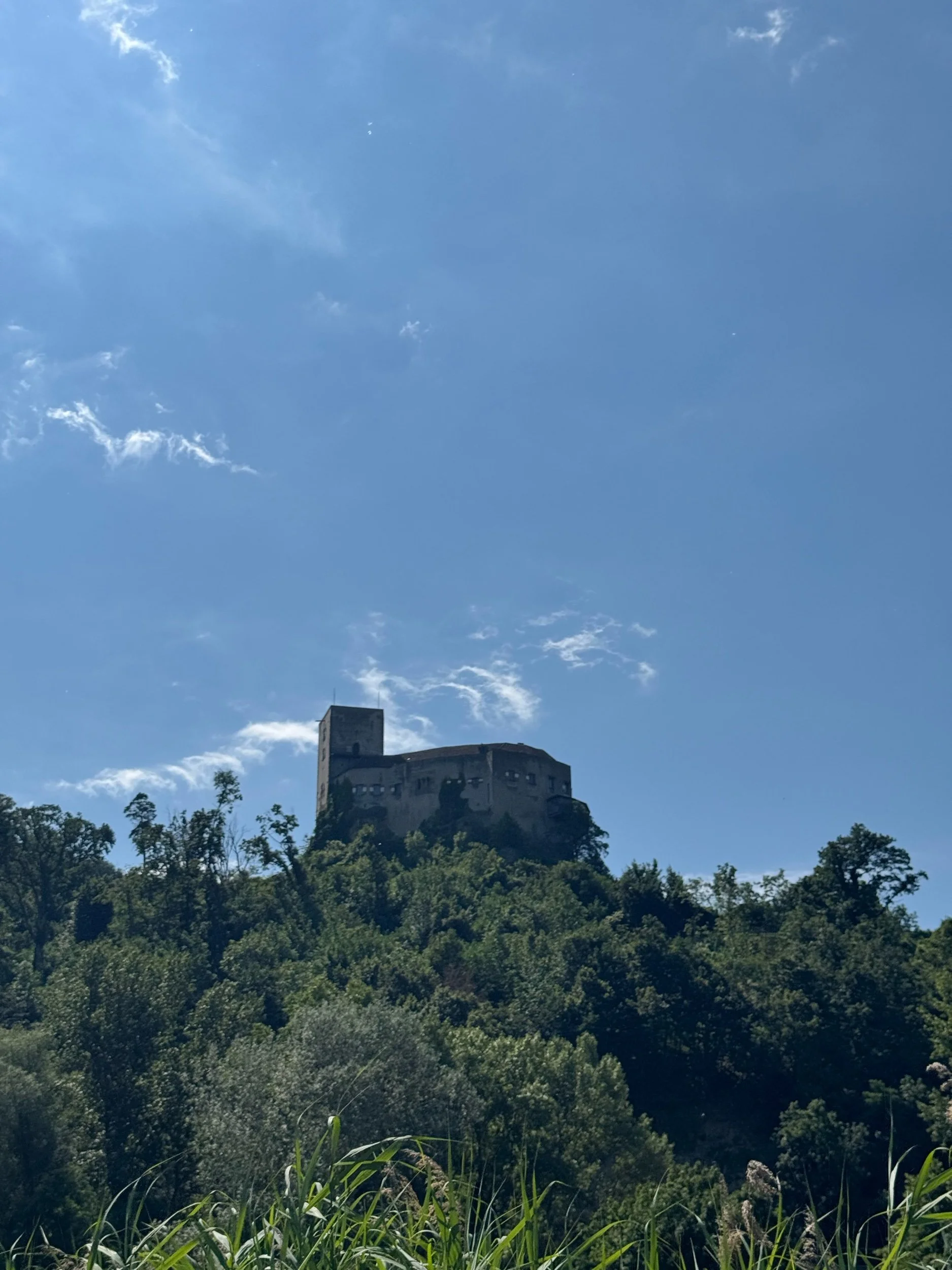 IMG_1815.jpeg