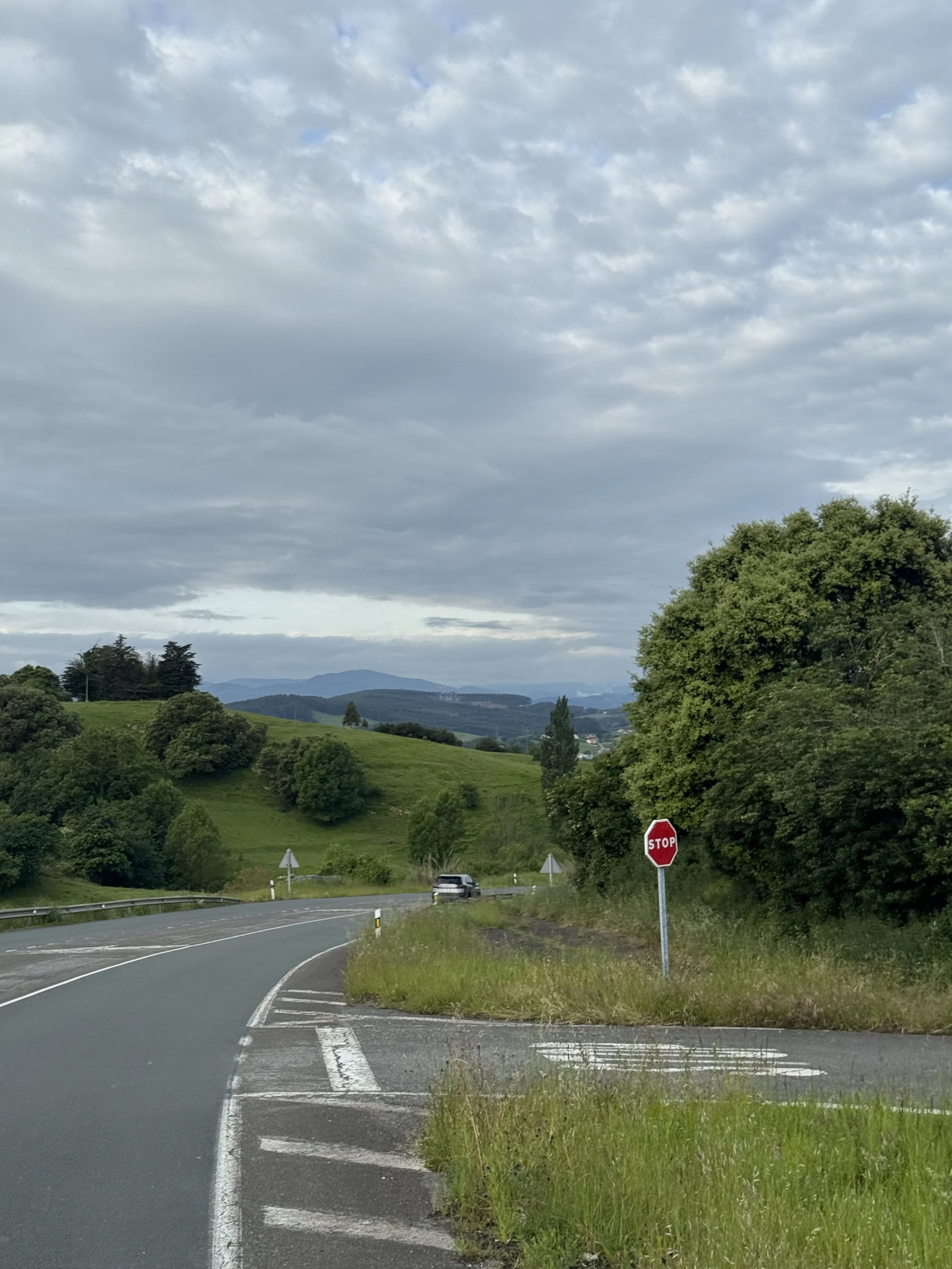 IMG_2948.jpeg